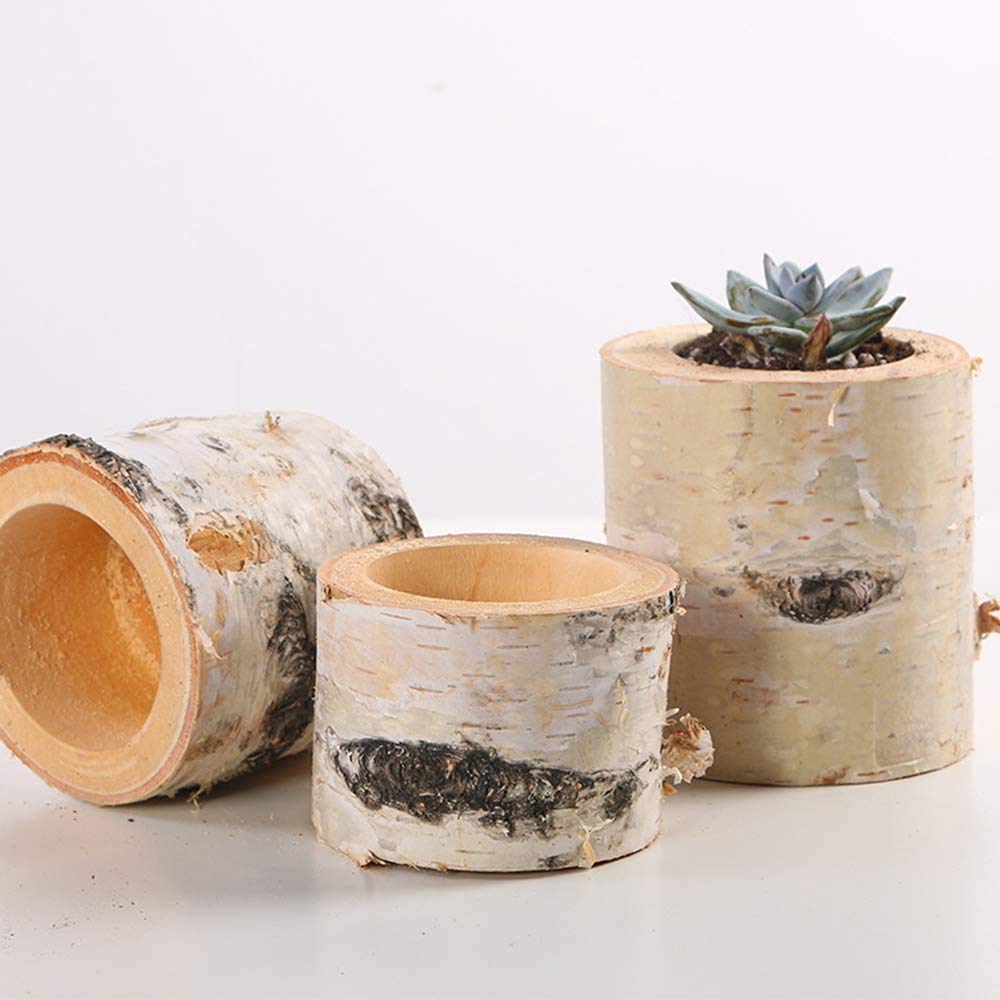 Christmas Birch Tealight Holder Real Birch Log Candle Holders Wooden Tealight Candleholder Succulent Plant Holder for Home Party Fireplace Decoration (Pack of 4 Same Height 2.36"x2.36")