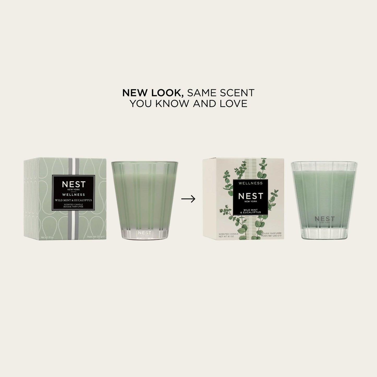 NEST New York Scented 3-Wick Candle, Wild Mint & Eucalyptus - 21.2 oz - Up to 100-Hour Burn Time - Reusable Glass Vessel
