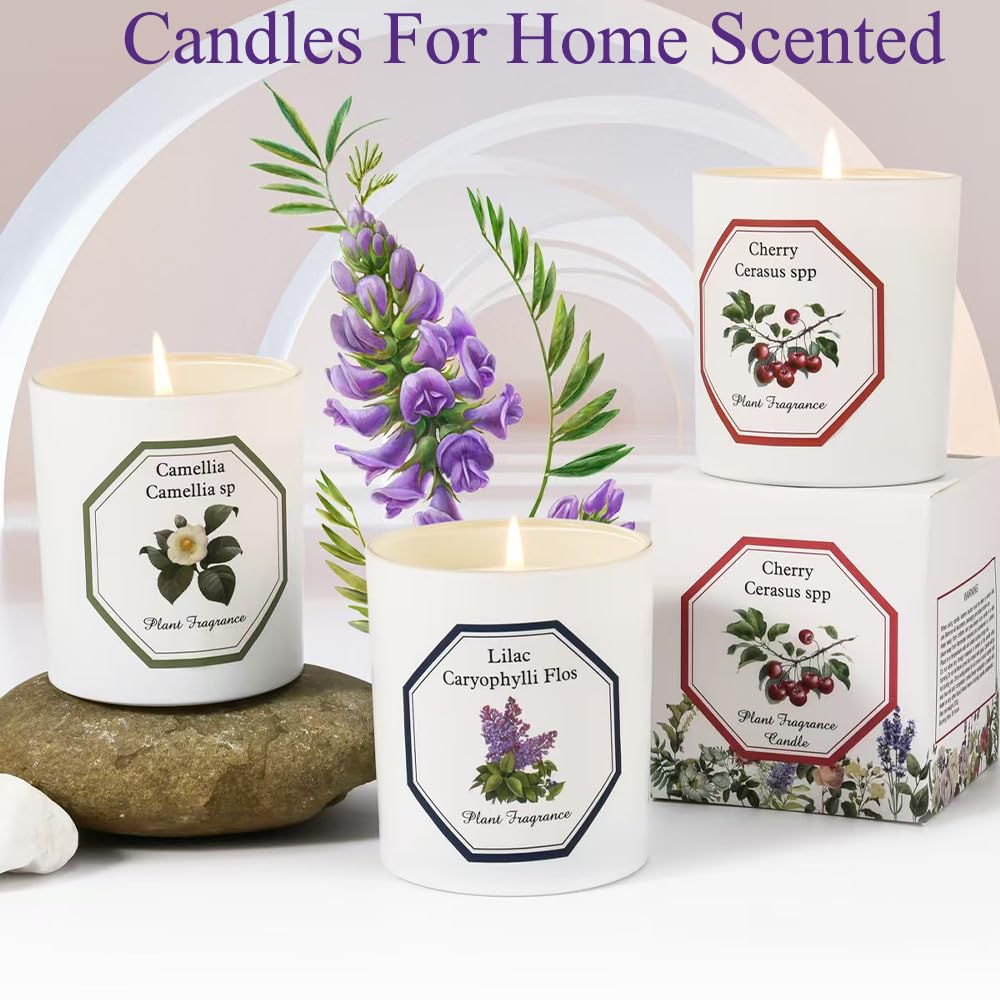 Lilac Candle, Candles for Home Scented, Candles Gift for Women, Lilac Scented Candle, Natural Soy Wax Candle, 6 oz 40 Hours Burning Time