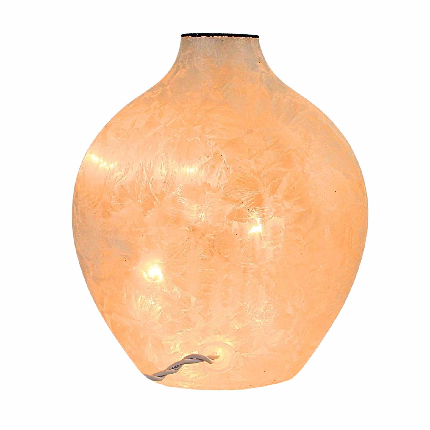 Stony Creek Hocus Pocus Pre-Lit Vase Lighted Glass Accent Dbh5207 Crow Halloween Novelty Lighting 7.00In (1Pc)