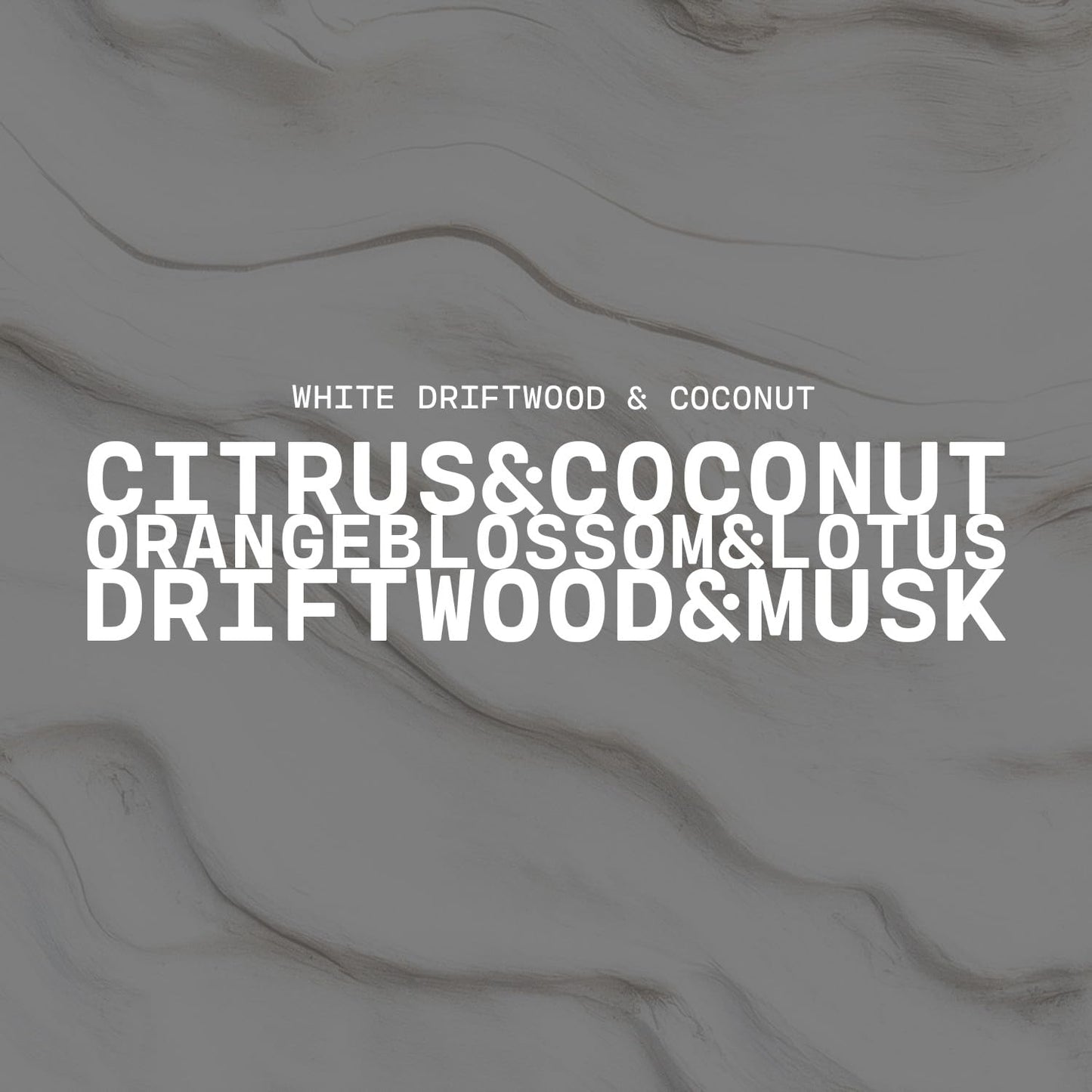Milkhouse Candle Company White Driftwood & Coconut Soy Candle - Coconut Water | Mandarin Orange | Rosewater Scented - 16 oz Butter Jar with Lid, 65+ Hour Burn Time, Made in the USA