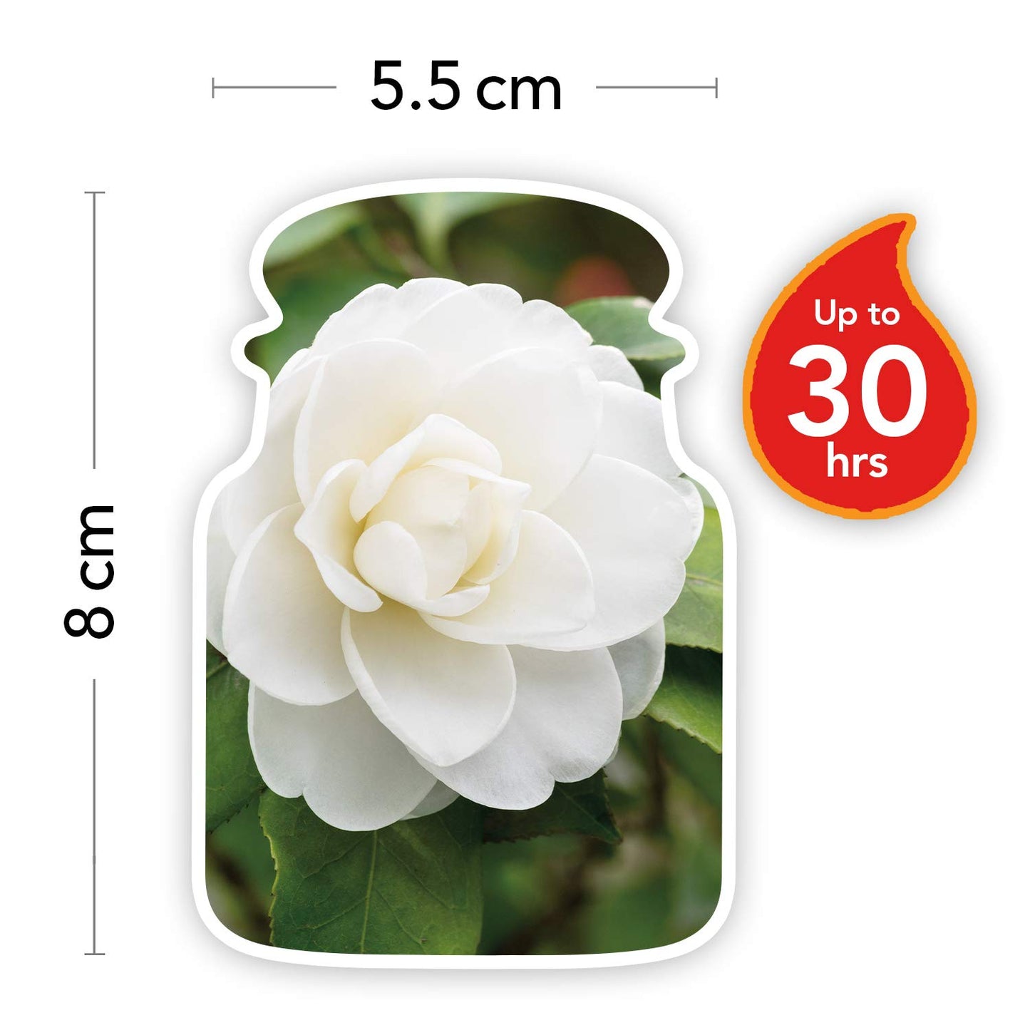 Yankee Candle Small Jar Candle | Camellia Blossom Scented Candle | Up to 30 Hours Burn Time | Garden Hideaway Collection