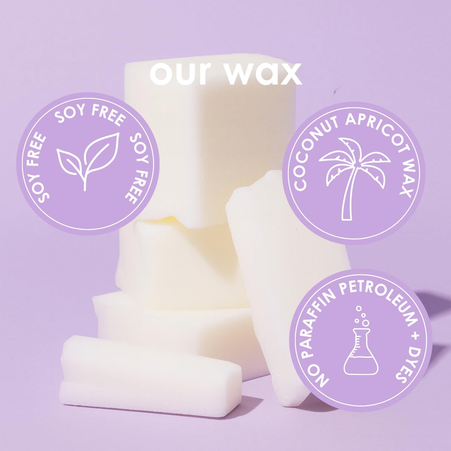 Pet Safe Candle for Dogs | Non Toxic Coconut Apricot Wax Candle | Clean Burning, Paraffin-Free | Pet Odor Eliminating Home Fragrance | Falling Leaves | 4 oz