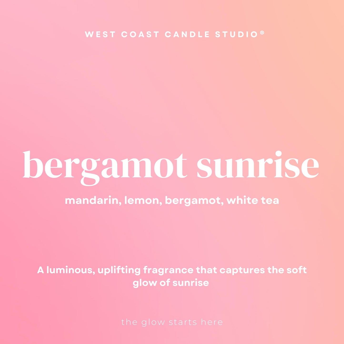 Pet Safe Candle for Dogs | Non Toxic Coconut Apricot Wax Candle | Clean Burning, Paraffin-Free | Pet Odor Eliminating Home Fragrance | Bergamot Sunrise | 4 oz