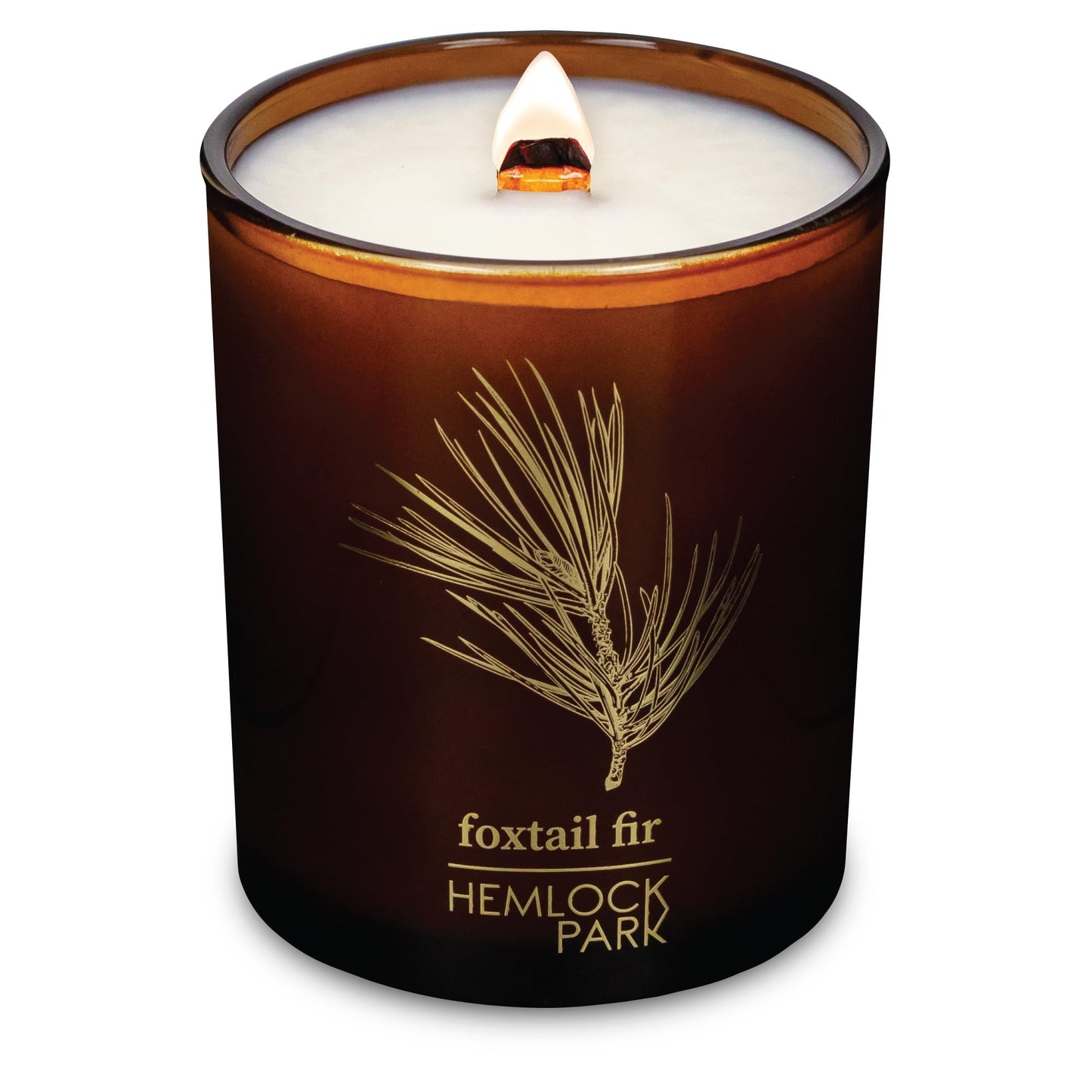 Hemlock Park Foxtail Fir Amber & Gold Hand-Poured Scented Candle | Crackling Wood Wick, Botanical Fragrance & Coconut Wax | Up to 60 Hour Burn Time | 7.2 oz