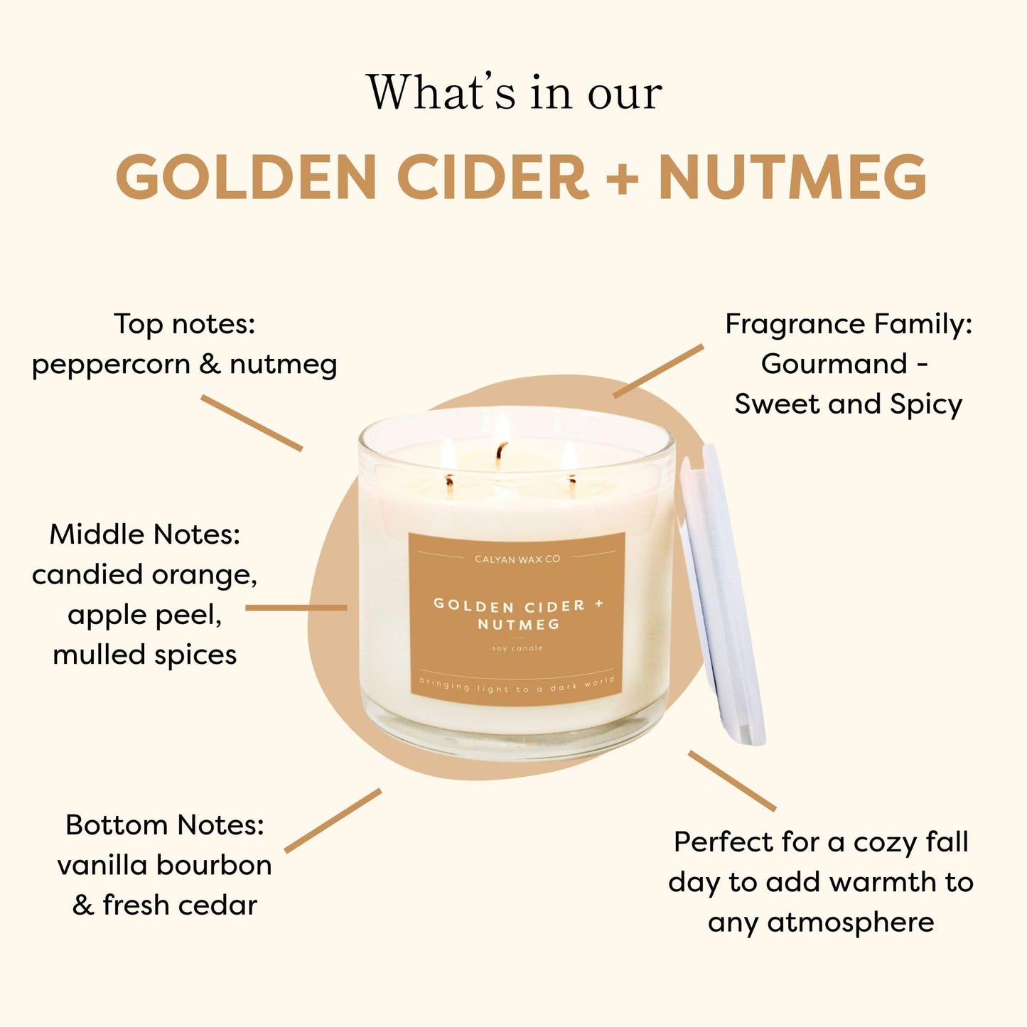 Calyan Wax Co. Golden Cider & Nutmeg 3 Wick Scented Candle - 43 Hour Burn - Luxury 3 Wick Soy Candles - Clean Soy Wax Candles - Long Lasting Large Glass Jar Candle for Home - 14.9oz