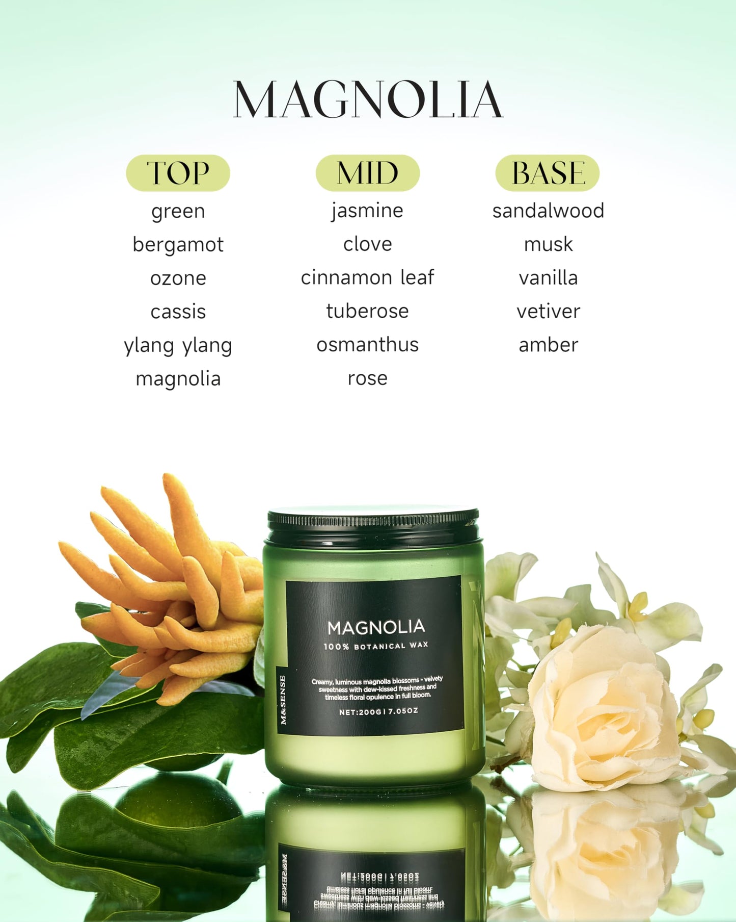 M&SENSE Magnolia Jasmine Scented Candle, 7.05oz 50 Hours Long Lasting Clean Non Toxic All Natural Soy Wax Candle for Relaxing & Stress Relief, Spring Fragrance Gifts for Home Decor