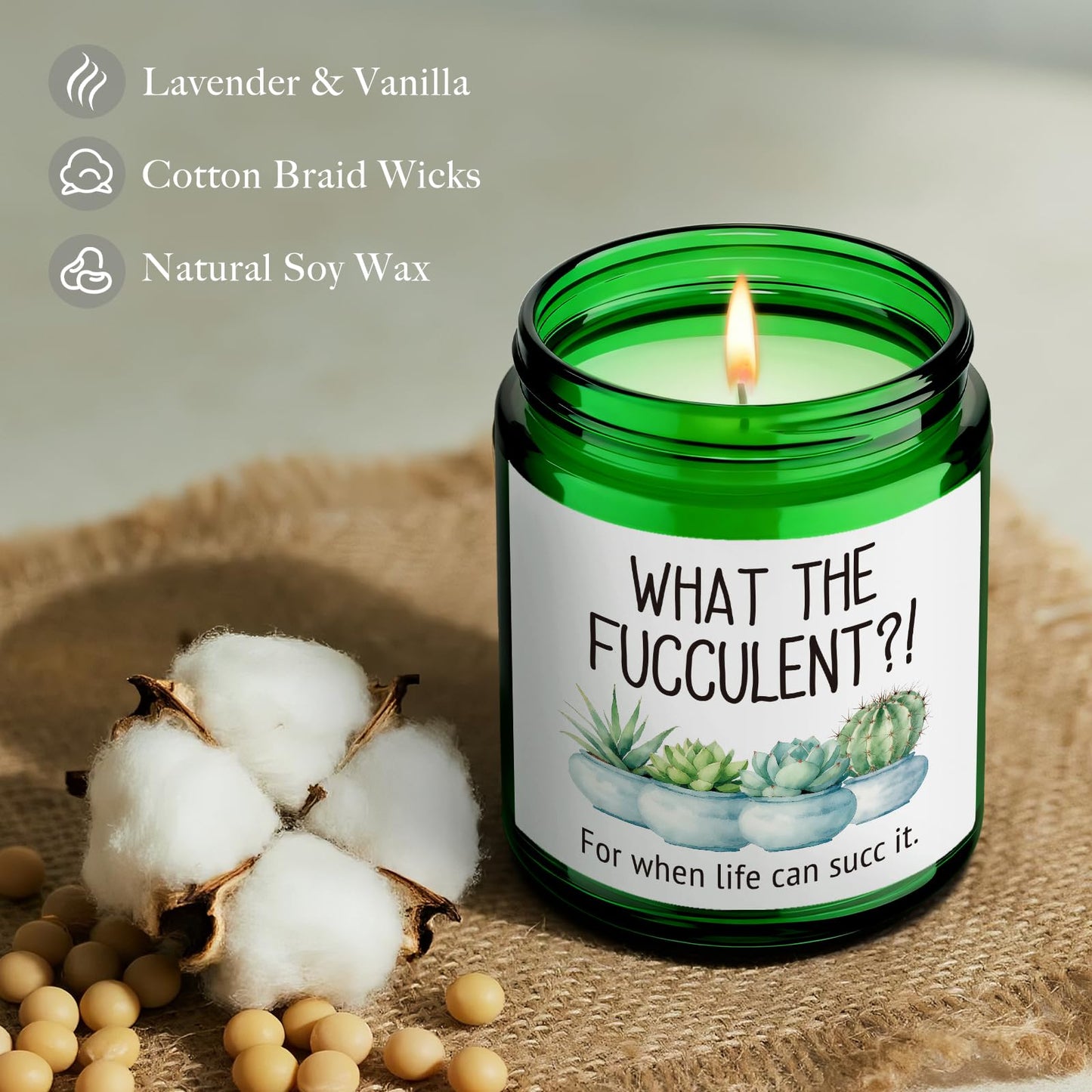QHLLWT What The F ucculent Candle Gift for Women Men Plant Lovers, Funny Cool Birthday Christmas Gifts for Best Friends Her Him Girlfriend Sister Wife Bestie, Cheer up Lavender & Vanilla candle-48