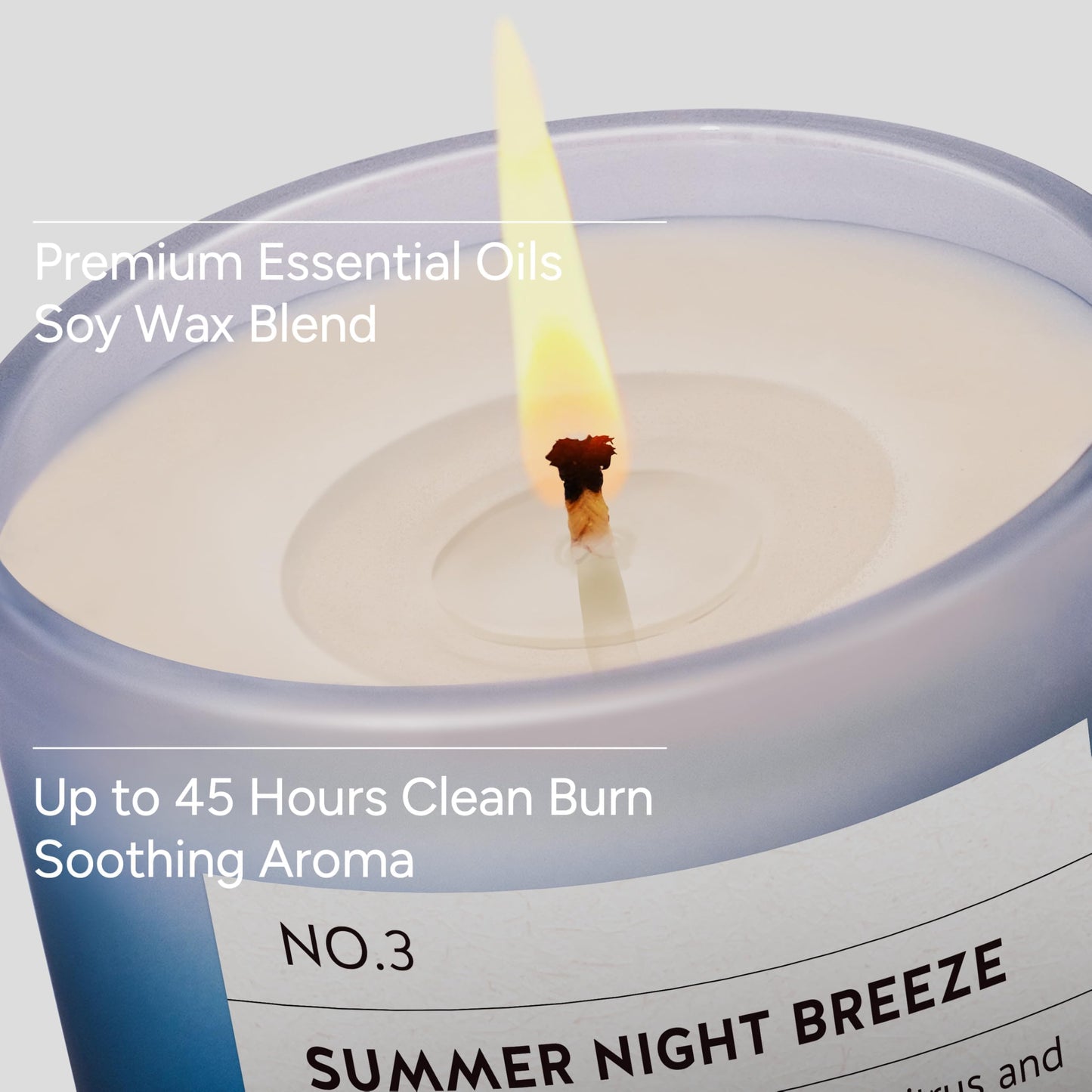 LUMELOOM Summer Night Breeze Scented Candle, 11oz Aromatherapy Soy Wax Candles for Home Scented, Fruits, Flower, Wood Scent, Long Burning Time, Gifts for Women, Men, Friend, Relaxation & Stress Relief