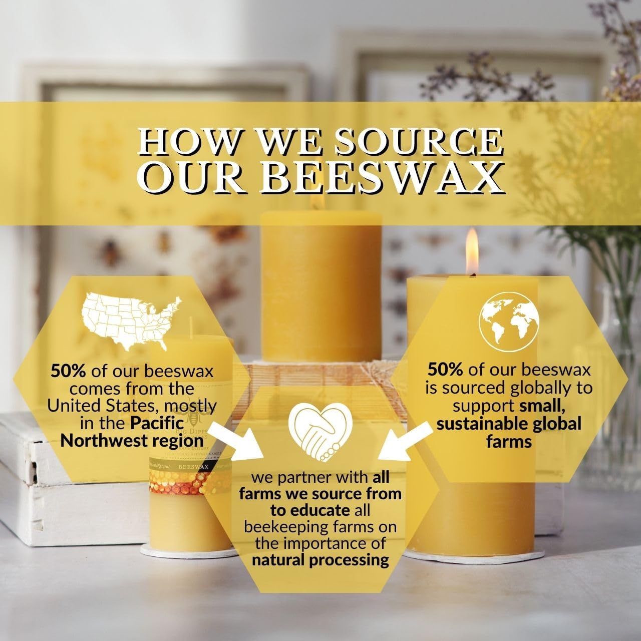 Big Dipper Wax Works Beeswax Oyster Mushroom Candle – Handcrafted 100% Pure Beeswax, Unscented, 60-Hour Clean Burn, Eco-Friendly Sculpted Woodland Décor Gift for Nature Lovers, 4" x 3.25"