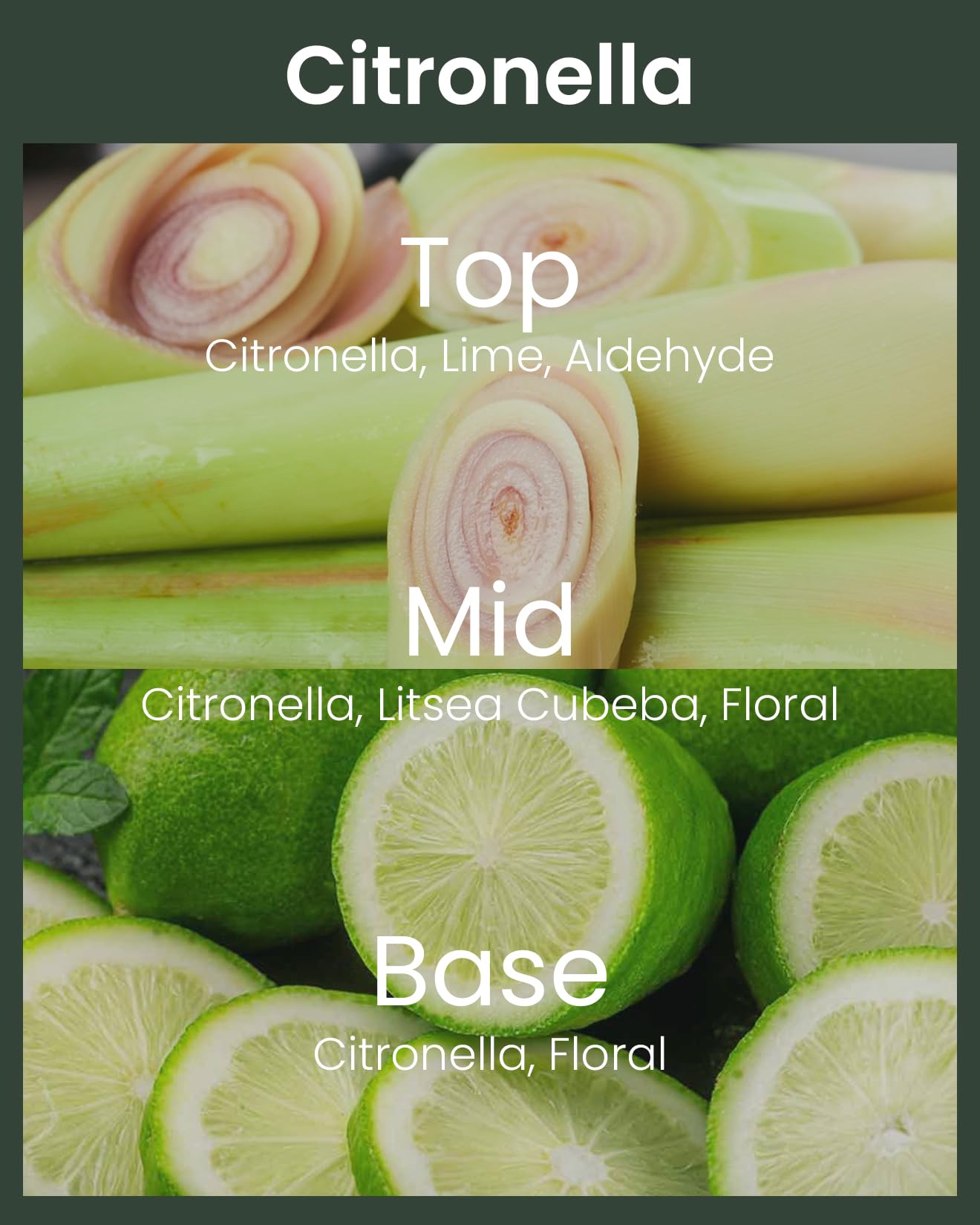 M&SENSE Citronella Candles Outdoor, 250 Hours Burn Natural Citronella Oil Soy Candle for Patio Camping, 40 oz Large Long Lasting Lemongrass Summer Candles for Indoor Home Scented