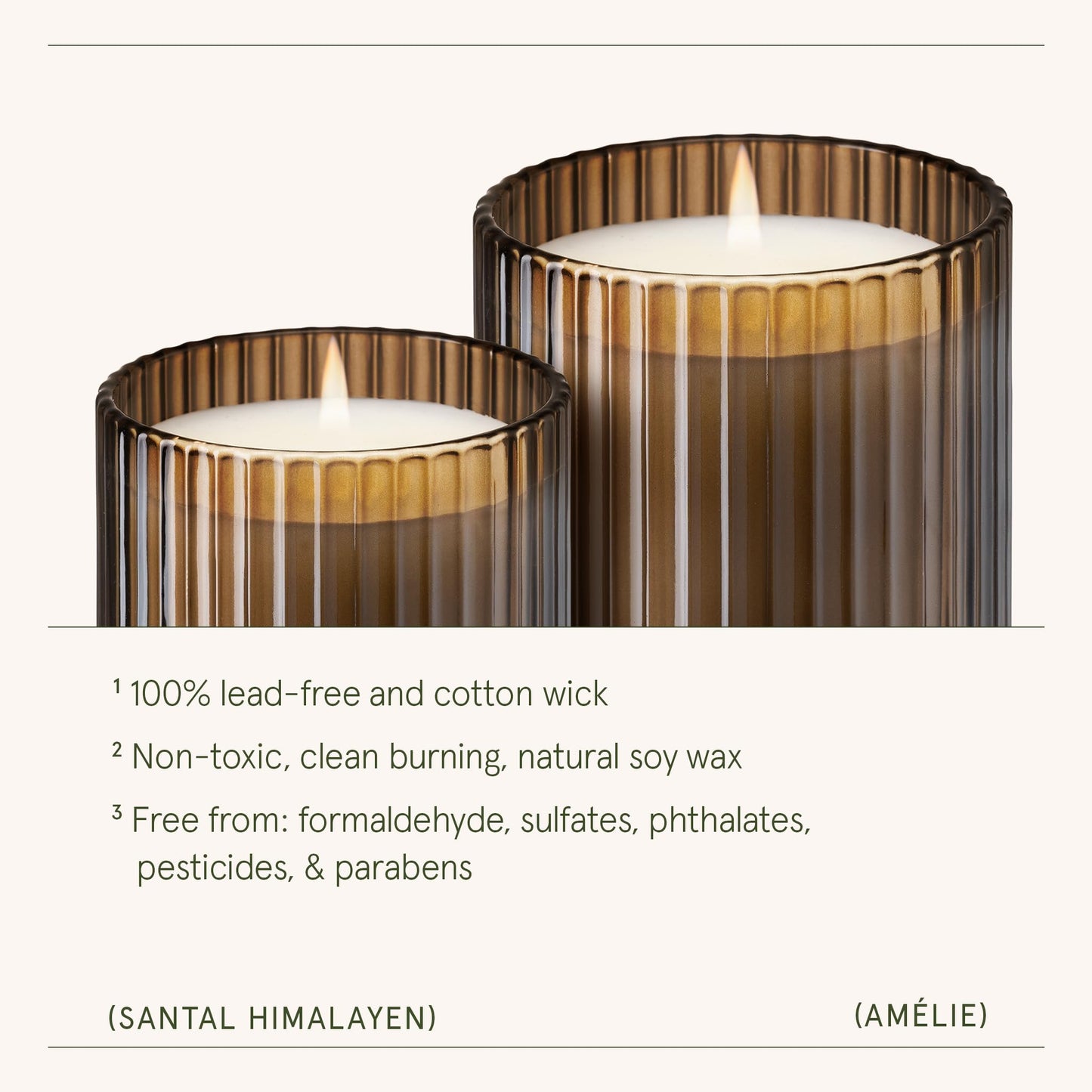 LA JOLIE MUSE Santal Himalayen Candle, Amber Scented Candles Gifts for Women, Natural Soy Candle, Candles for Home Scented, Luxury Glass Jar Candles for Home Decor, 60 Hours Long Burning, 11 Oz