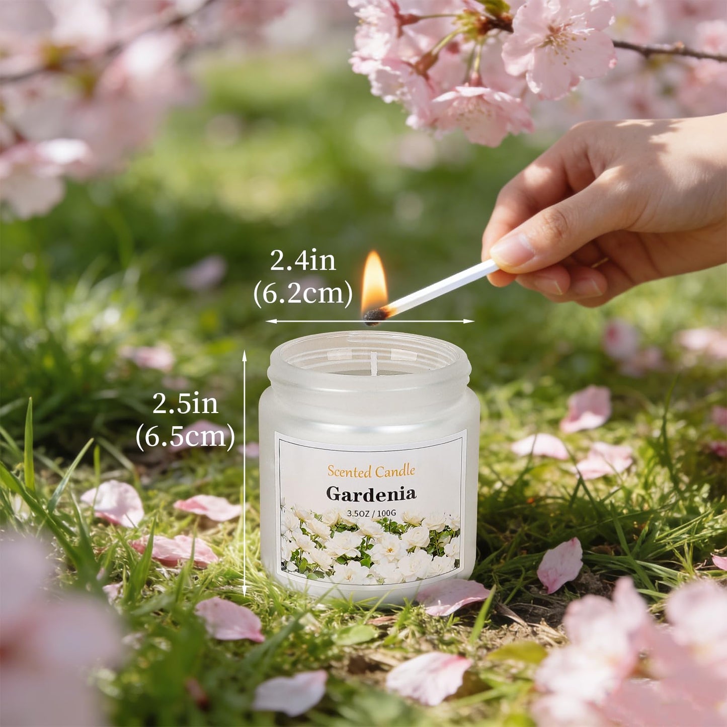 Spring Summer Scented Candles, 6 Pack Soy Wax Candles for Home Scented, 21 oz Aromatherapy Candle Gift Set for Women & Men, Freesia/Rose/After Rain/Gardenia/Fresh Cut Grass/Ocean Breeze