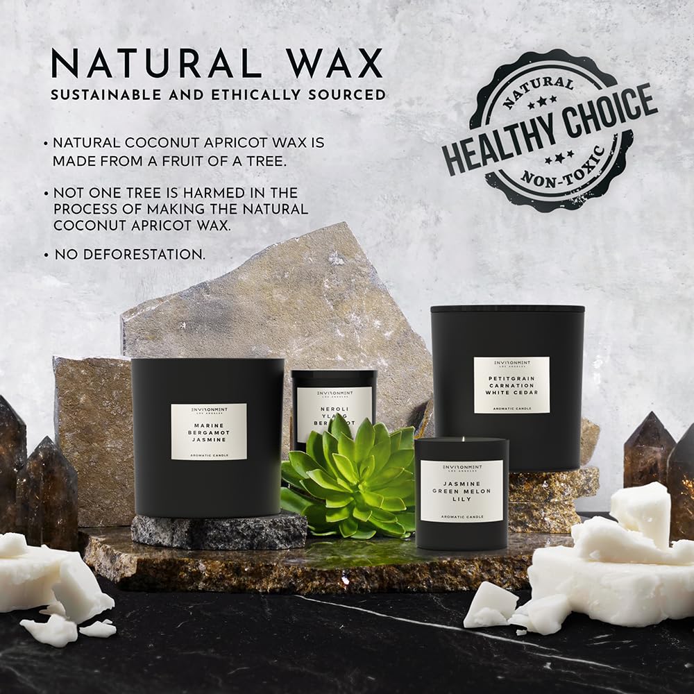 ENVIRONMENT Inspired by 5-Star Resort WSTN Candle, 8oz Luxury Coconut Apricot Wax Candles for Home (White Tea | Cedar | Aloe Vera) Home Fragrance Products, 1 Wick Candle, Vegan & Cruelty-Free