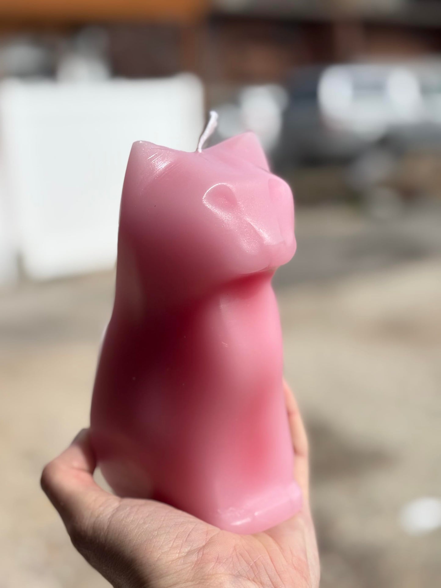 Hidden Skeleton Cat Candle (Pink)