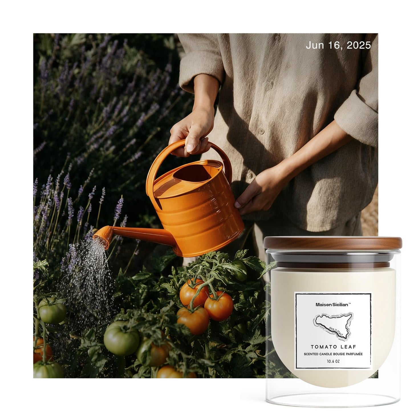 Tomato Leaf Candle by Maison Sicilian | Inspired by Tomato Leaves – Authentic Tomato Vine Scent, Fresh Green & Earthy Notes, Hand-Poured Soy Wax, 65 Hour Burn | Garden-Inspired for Plant Lovers