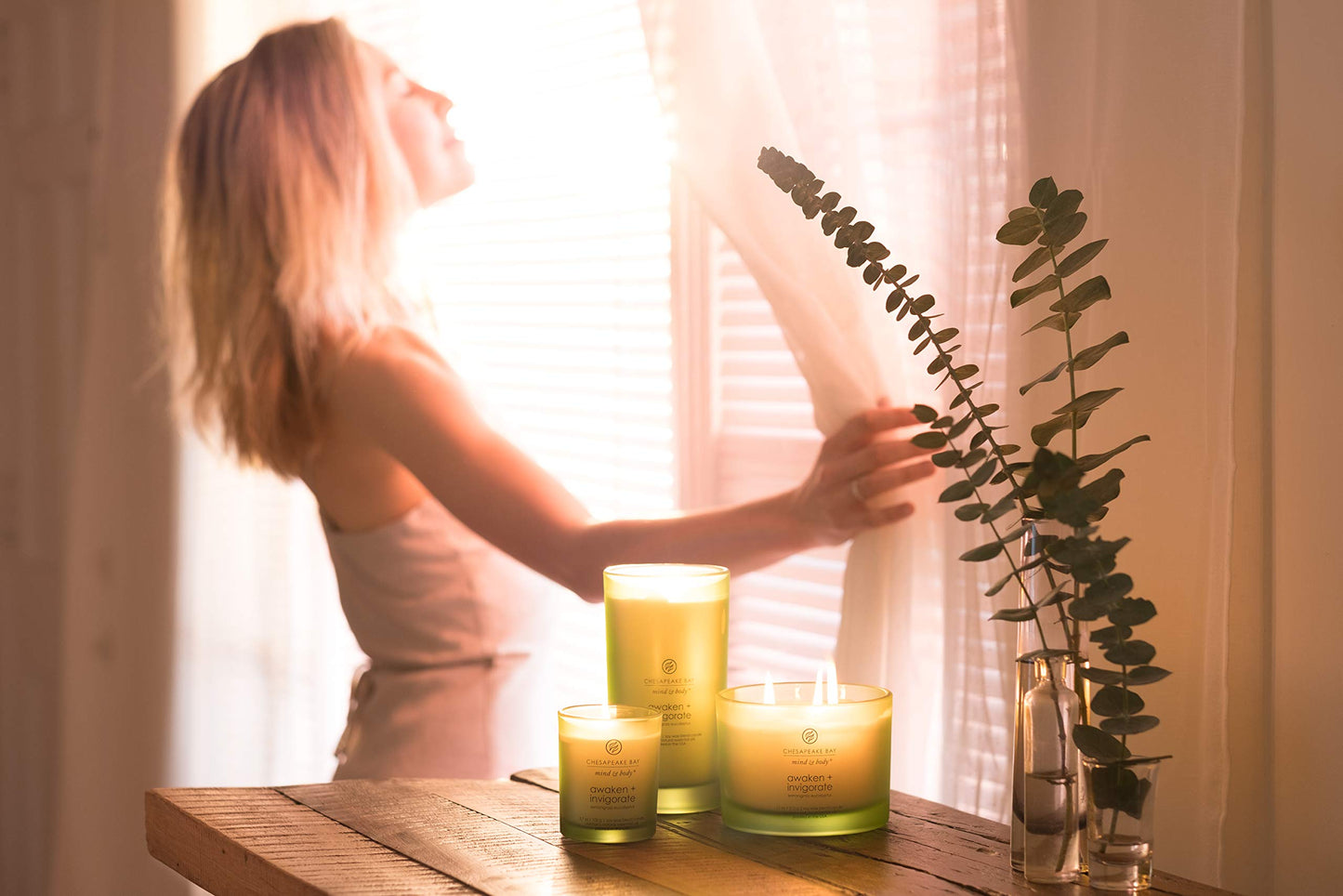 Chesapeake Bay Candle PT40886 Scented Candle Awaken + Invigorate (Lemongrass Eucalyptus) Medium Green Home Décor