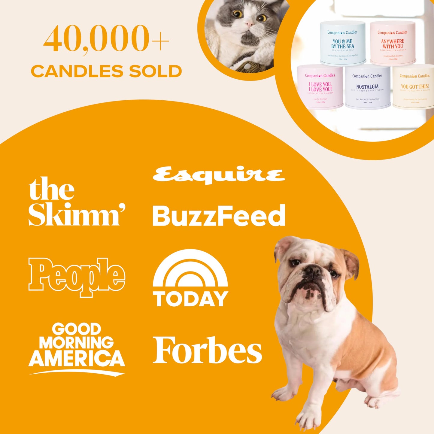 Companion Candles You Got This! Pet-Friendly Scented Candle – Tropical Nectar & Fruits Fragrance - Coconut Soy Wax Candle with Wooden Wick, Approx. 50-Hour Burn Time, Made in USA, 11.8 oz