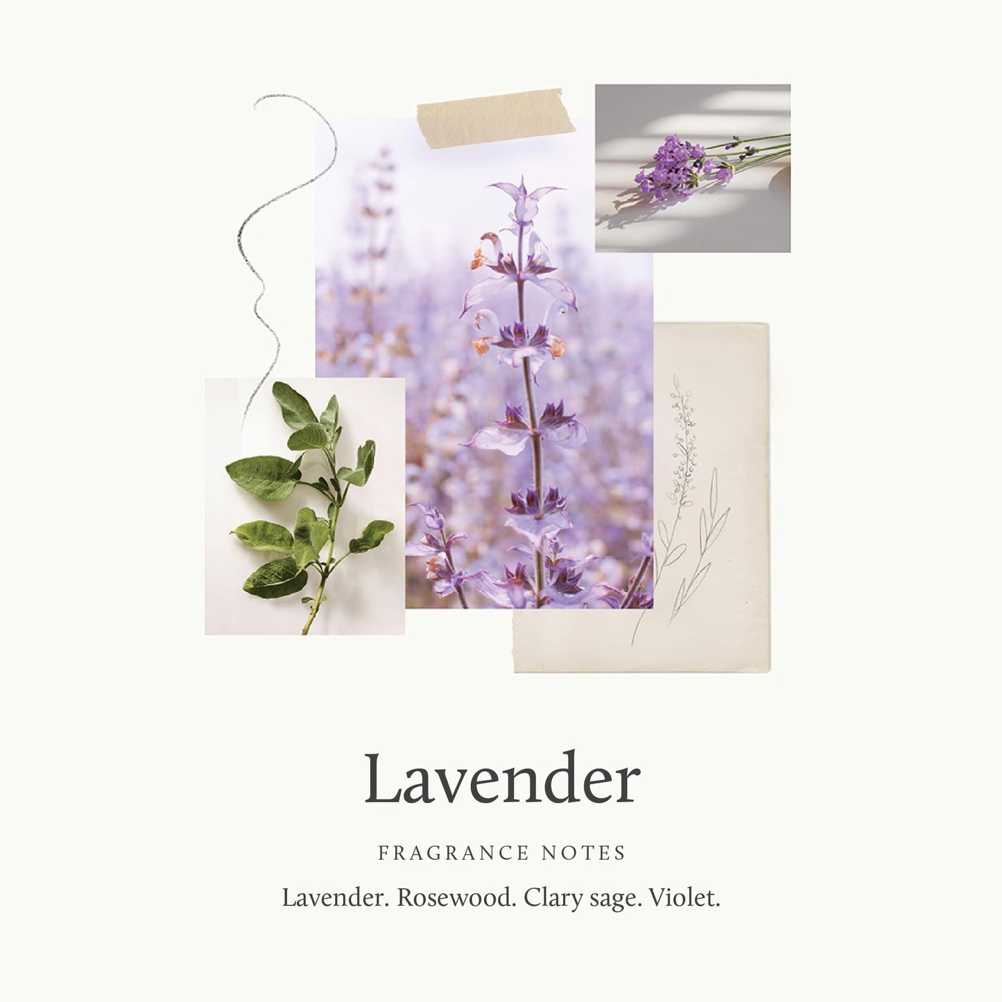 Thymes Aromatic Jar Candle - Lavender Scented Candle for a Soothing Home Fragrance - Matte White Candles (7.5 oz)