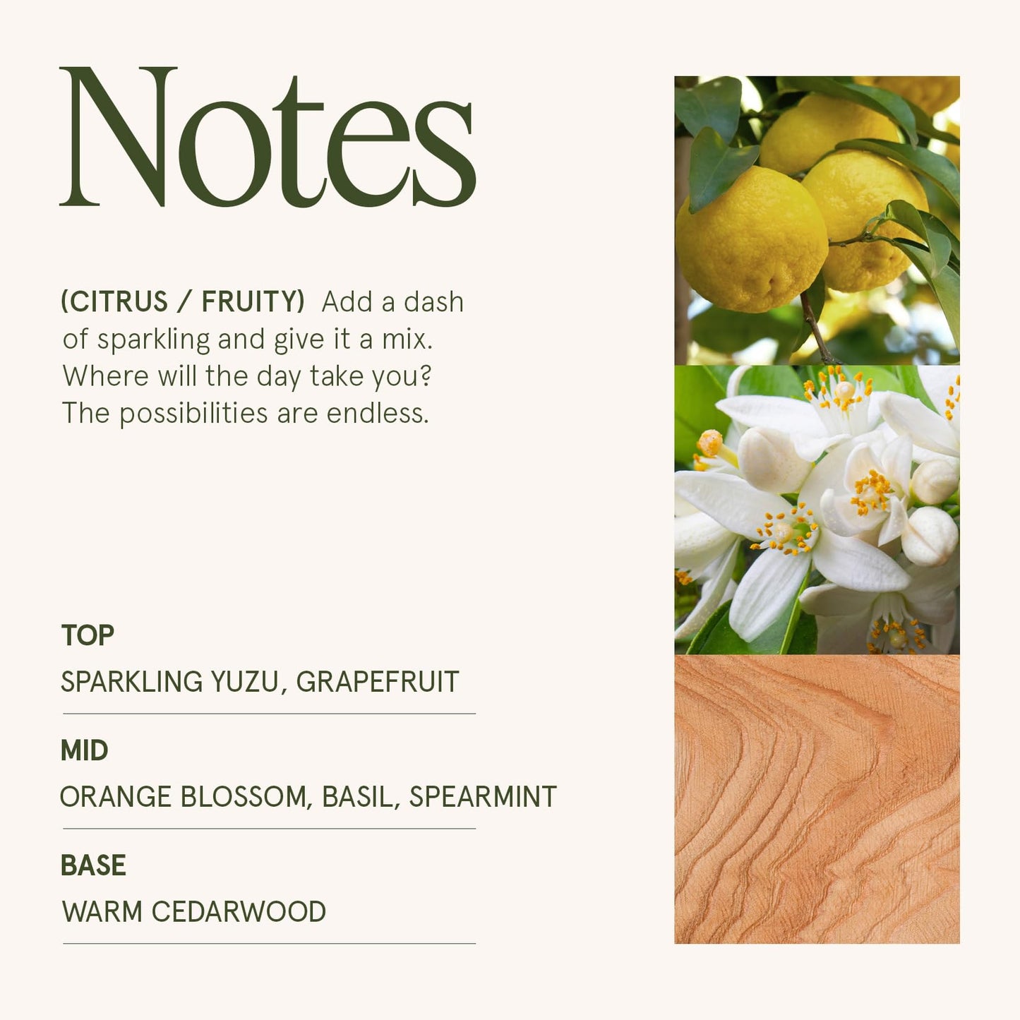 LA JOLIE MUSE Yuzu & Neroli Scented Candles for Home | 2-Wick Non Toxic Natural Soy | Luxury Large Jar Candle Gifts for Women | Citrus Orange |12 oz