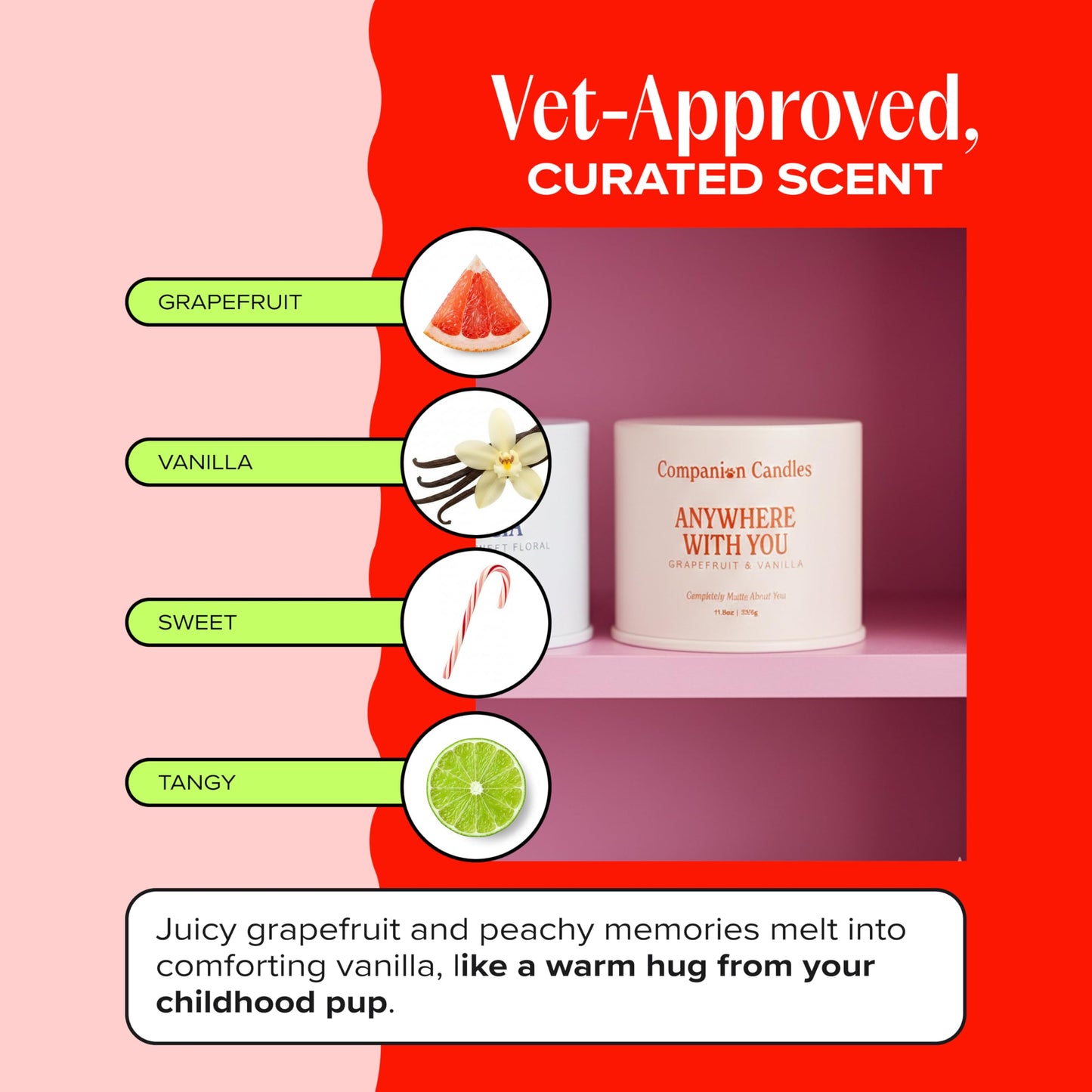 Companion Candles Anywhere with You Pet-Friendly Scented Candle – Grapefruit & Vanilla Fragrance - Coconut Soy Wax Candle with Wooden Wick, Approx. 50-Hour Burn Time, Made in USA, 11.8 oz