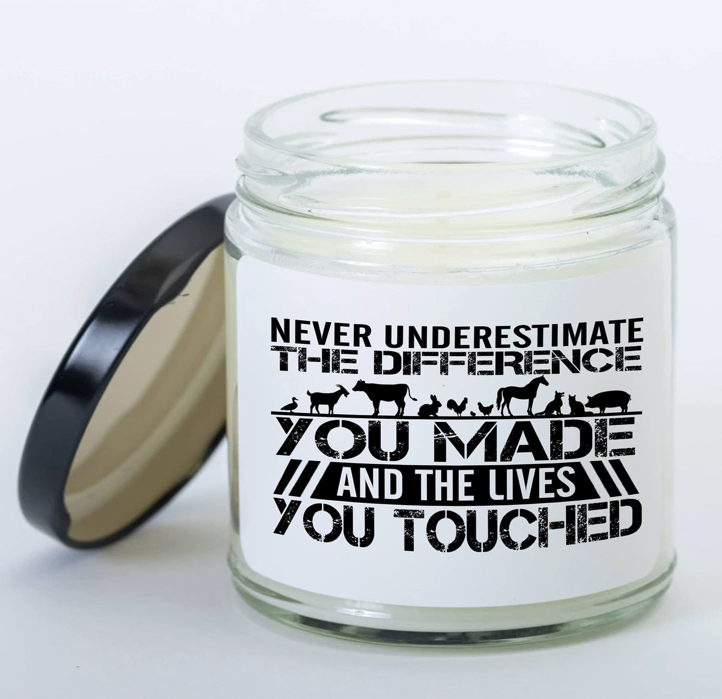 Veterinarian Candle Never Underestimate The Difference You Made Veterinary Medicine Student Vanilla Scented Candle Gift for Vet Clinic Animals Hospital
