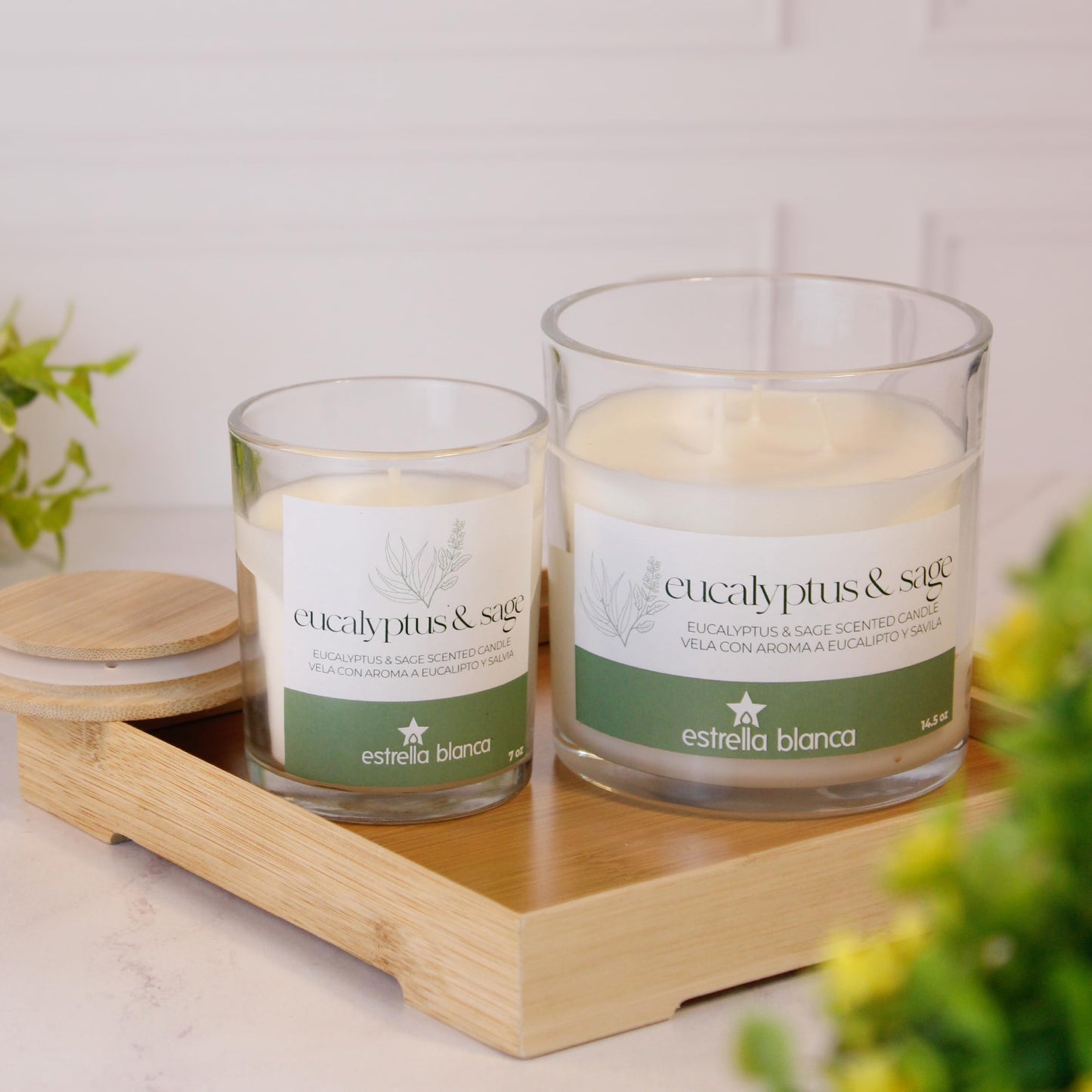 Estrella Blanca 7oz Eucalyptus and Sage Scented Candle, Candles for Home Scented, Soy Blend Wax Candle, Gift for Women Men, Long Burning Candle