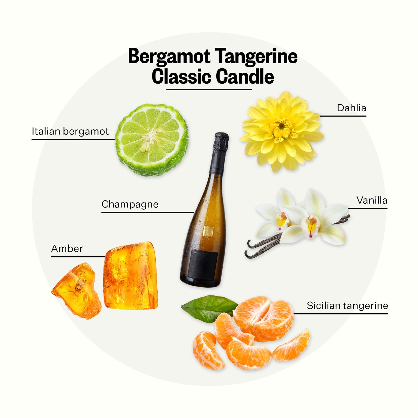 Apotheke Signature Scented Candles for Home, Bergamot Tangerine - 10.5 oz - Soy Wax, Non Toxic, Large Jar White - Luxury Candle Gifts for Women & Men - Vanilla, Amber, Dahlia, and Champagne