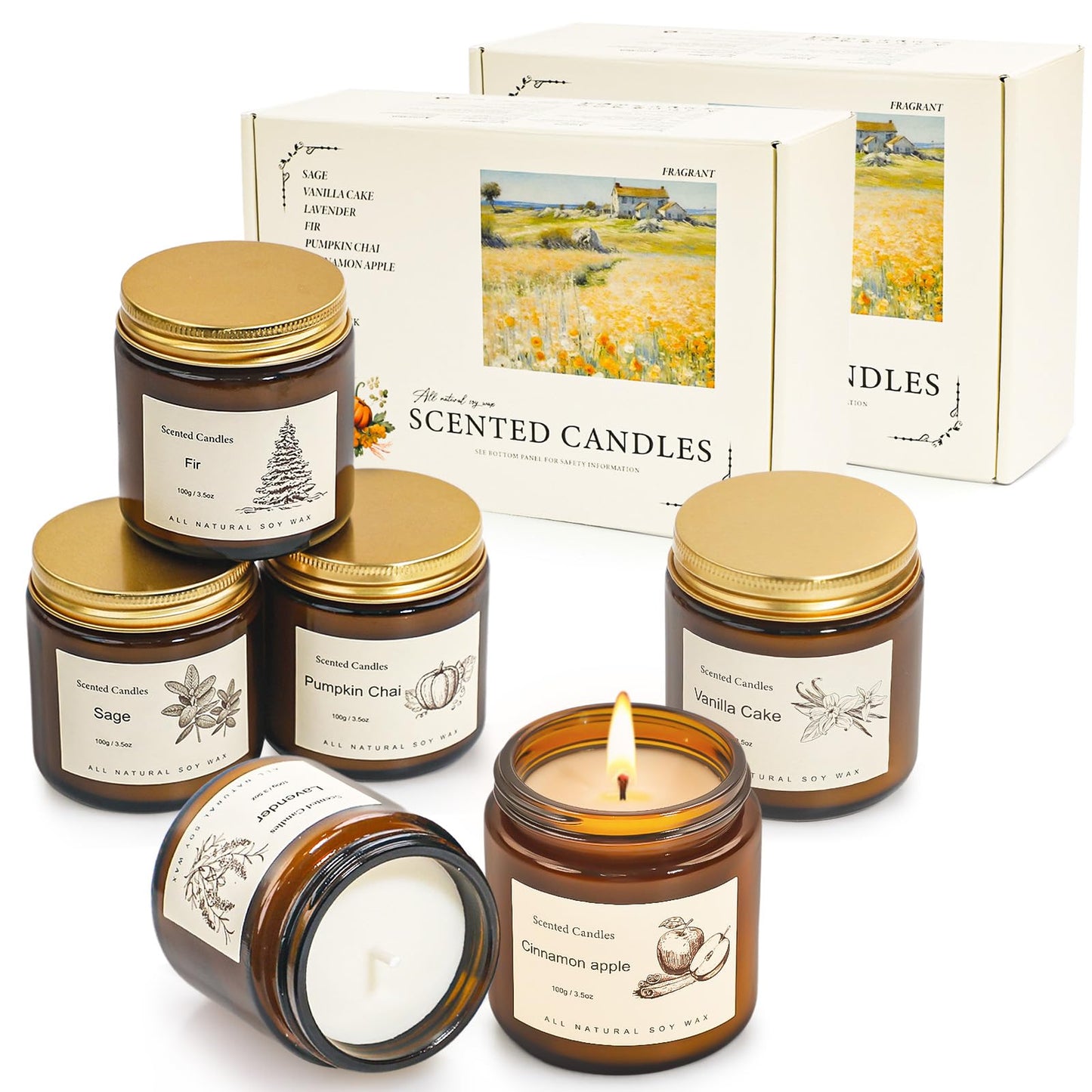 Scented Candles Gift Set for Home, 12 Pack Aromatherapy Soy Candles, 6 Fragrance Scents with 2 Gift Boxes, Long Lasting Small Candles for Relaxation, Bathroom Bedroom Office Gifts for Women