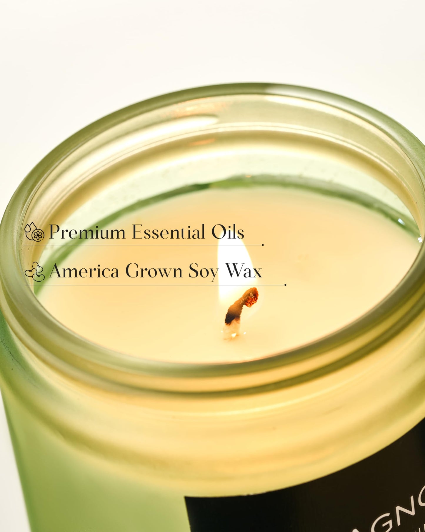 M&SENSE Magnolia Jasmine Scented Candle, 7.05oz 50 Hours Long Lasting Clean Non Toxic All Natural Soy Wax Candle for Relaxing & Stress Relief, Spring Fragrance Gifts for Home Decor