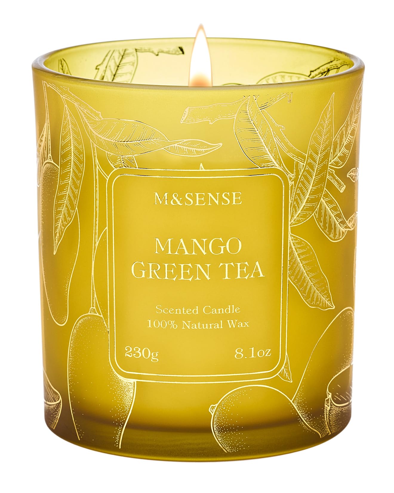 M&SENSE Mango Green Tea Soy Candle, 8.1oz 42H Slow Burning Non Toxic, Tropical Tea Aromatherapy, Summer Relaxation Gift