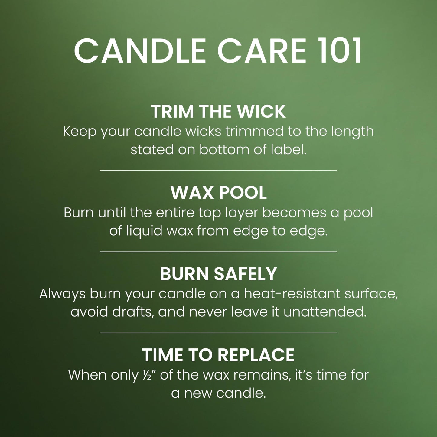 Yankee Candle Small Tumbler Scented Candle, Balsam & Cedar, 4.3 oz, Premium Plant Wax Blend, Up to 40 Hour Burn Time