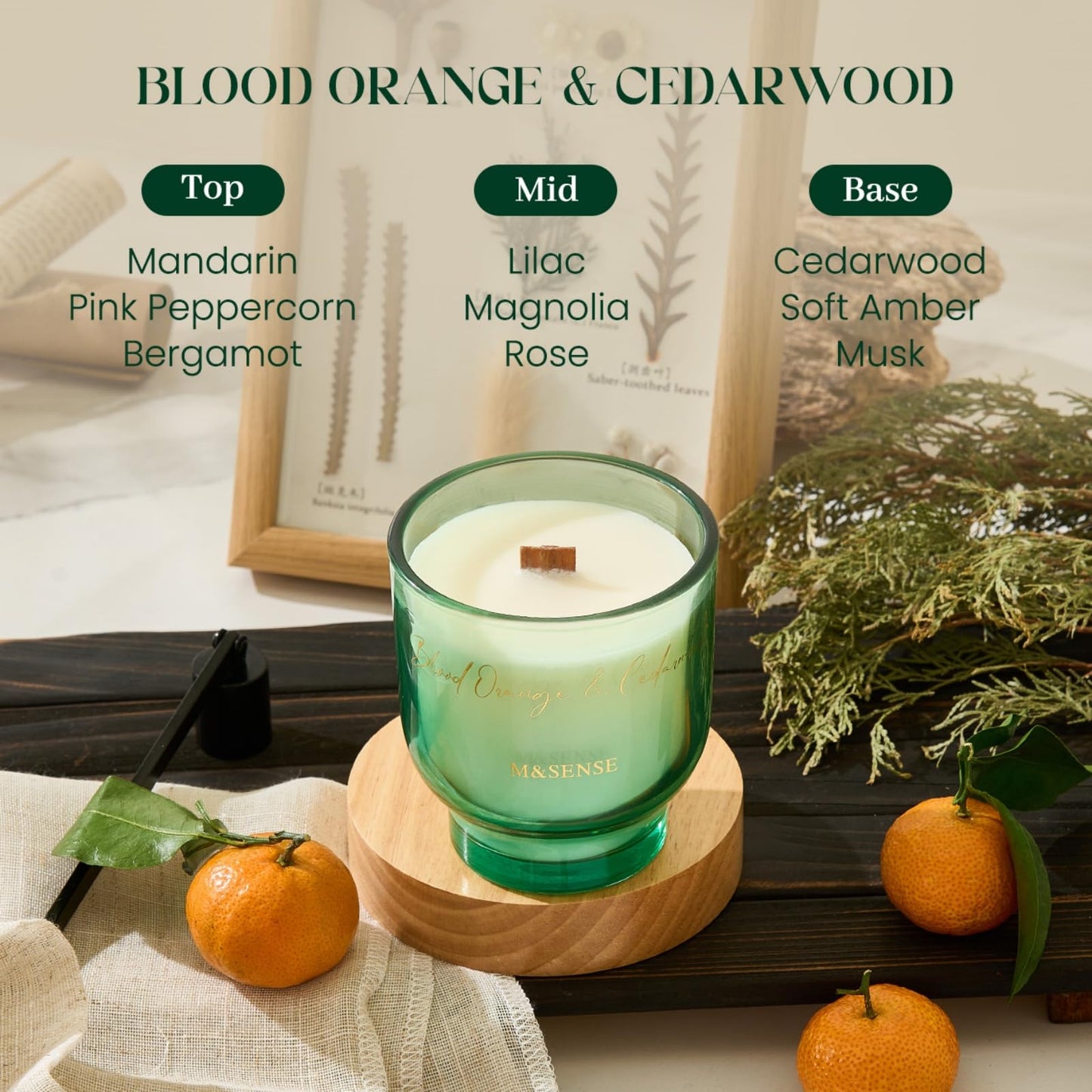 M&SENSE 9.9oz Natural Soy Wax Jar Candle with Wooden Wick | Blood Orange & Cedarwood Scent | 55-Hour Burn & Long-Lasting Burn | Housewarming Gift for Men and Women