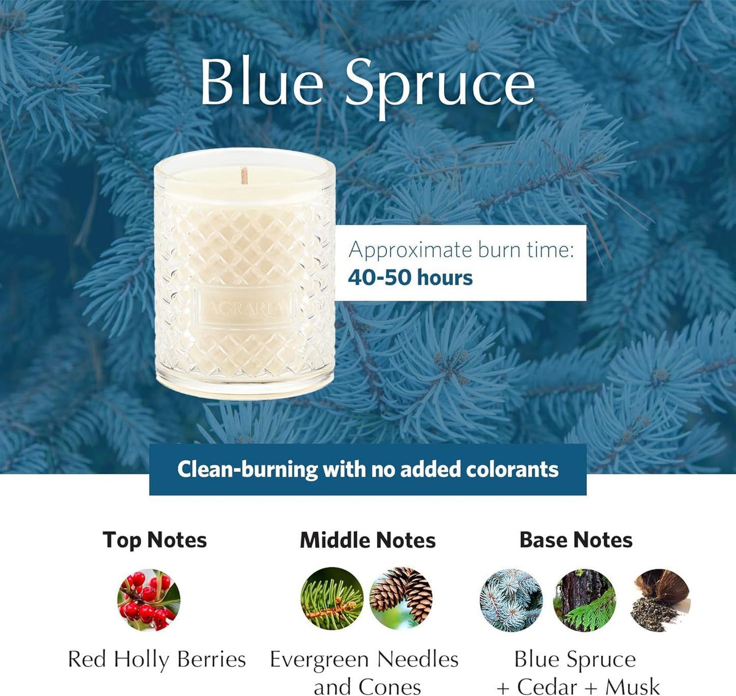 Blue Spruce Holiday Scented Candle, 7oz