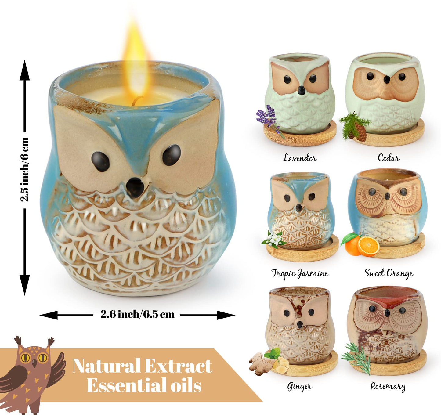 Kinforse Scented Candles Birthday Gifts for Women, Owl Gifts for Women, 6 Pack Novelty Owl Aromatherapy Candle Bulk Gift for Birthday Mother's Thanksgiving