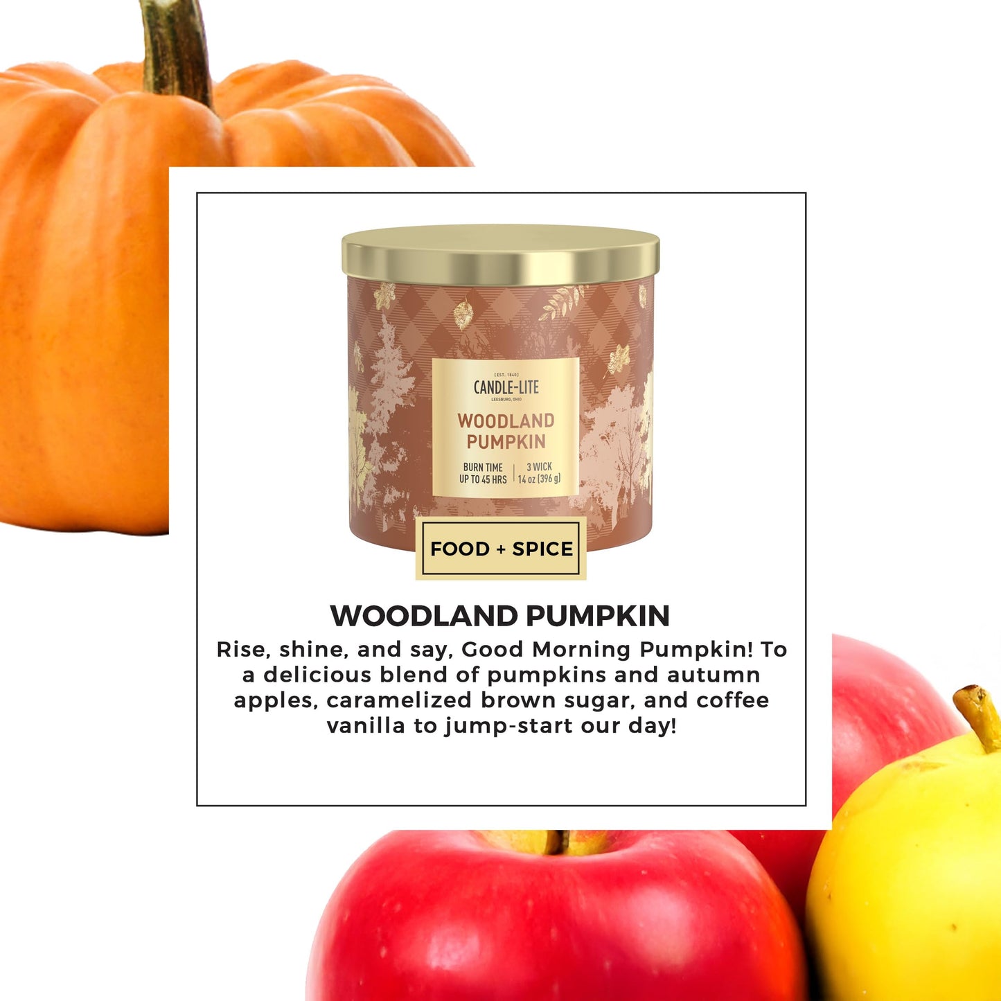 Candle-lite Halloween Scented Candles, Juicy Orange Peel with Pumpkin, 14 oz Jar, 45 Hour Burn, Fall Scented Candle for Home Decor, 3-Wick, Proudly Poured in USA, Halloween Candle Decoration