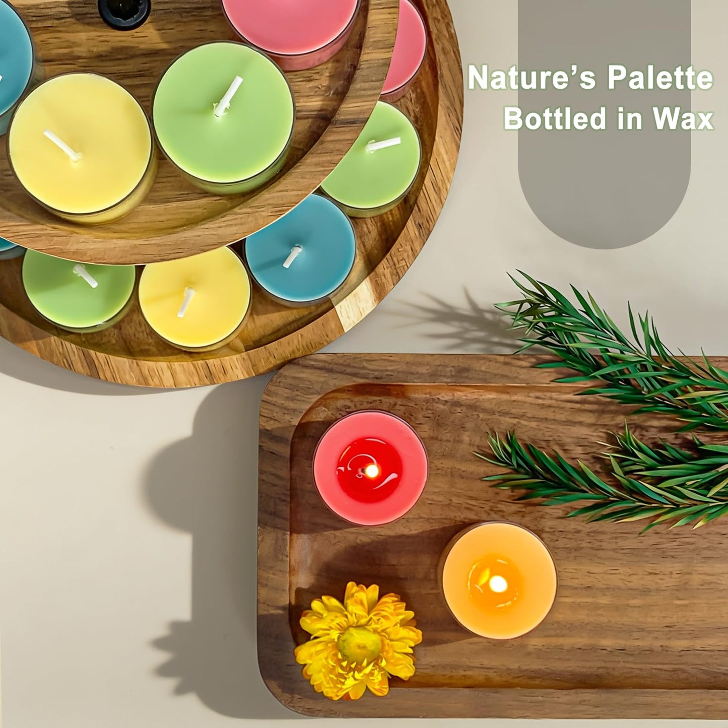 Spring & Summer Scented Tealight Candles 16 Pack, Natural Soy & Bee Wax Blend, Easter Candle Colors: Sky Blue,Pink,Green &Yellow, 3.5 Hour Burn Time, Strong Fragrance for Home for by Kissingfish