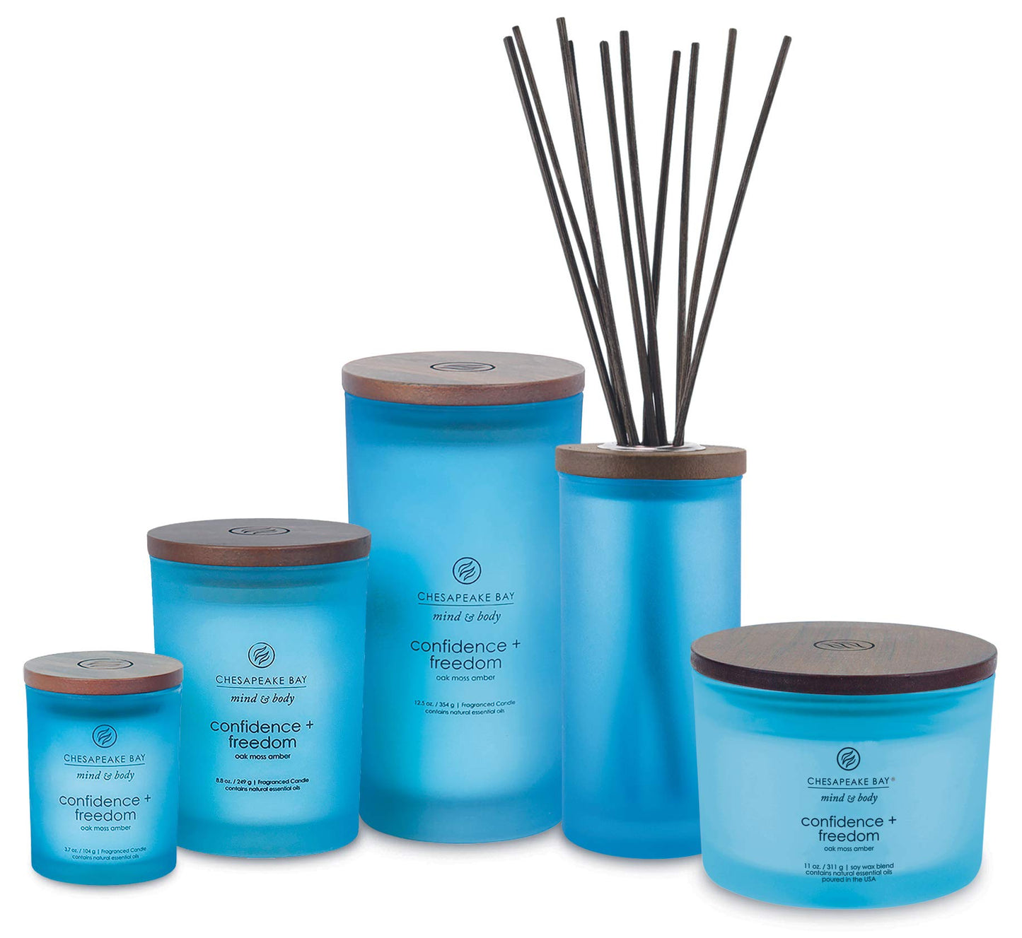 Chesapeake Bay Candle Scented Candle Confidence + Freedom (Oak Moss Amber) Medium Home Décor