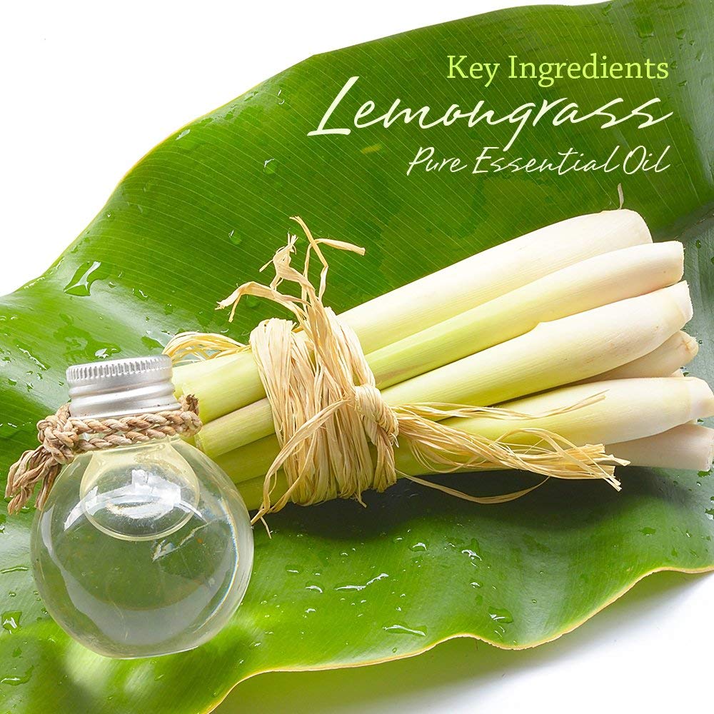 I & Candle Aromatherapy Soy Wax Scented Candles (Lemongrass)