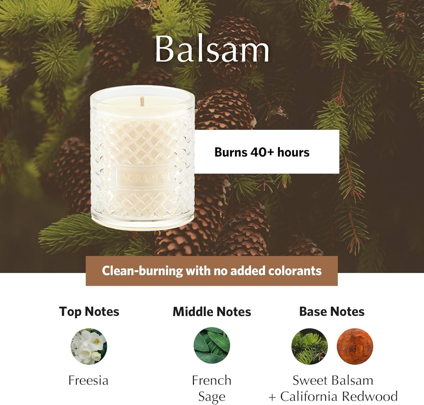 Balsam Holiday Scented Candle, 7oz
