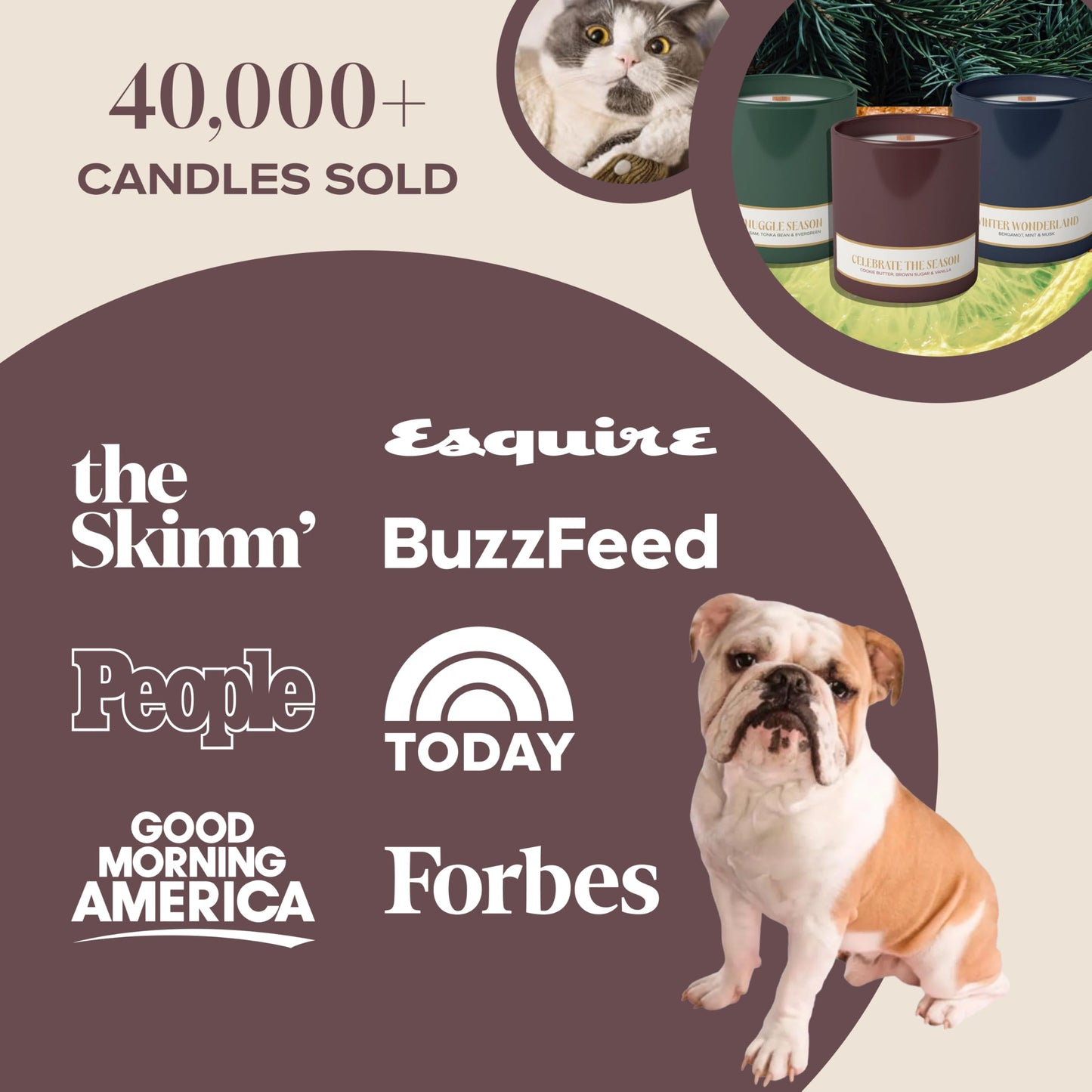 Companion Candles Celebrate the Season Pet-Friendly Scented Candle – Cookie Butter, Brown Sugar & Vanilla Fragrance - Coconut Soy Wax Candle with Wooden Wick, 50-Hour Burn Time, Made in USA, 11.8 oz