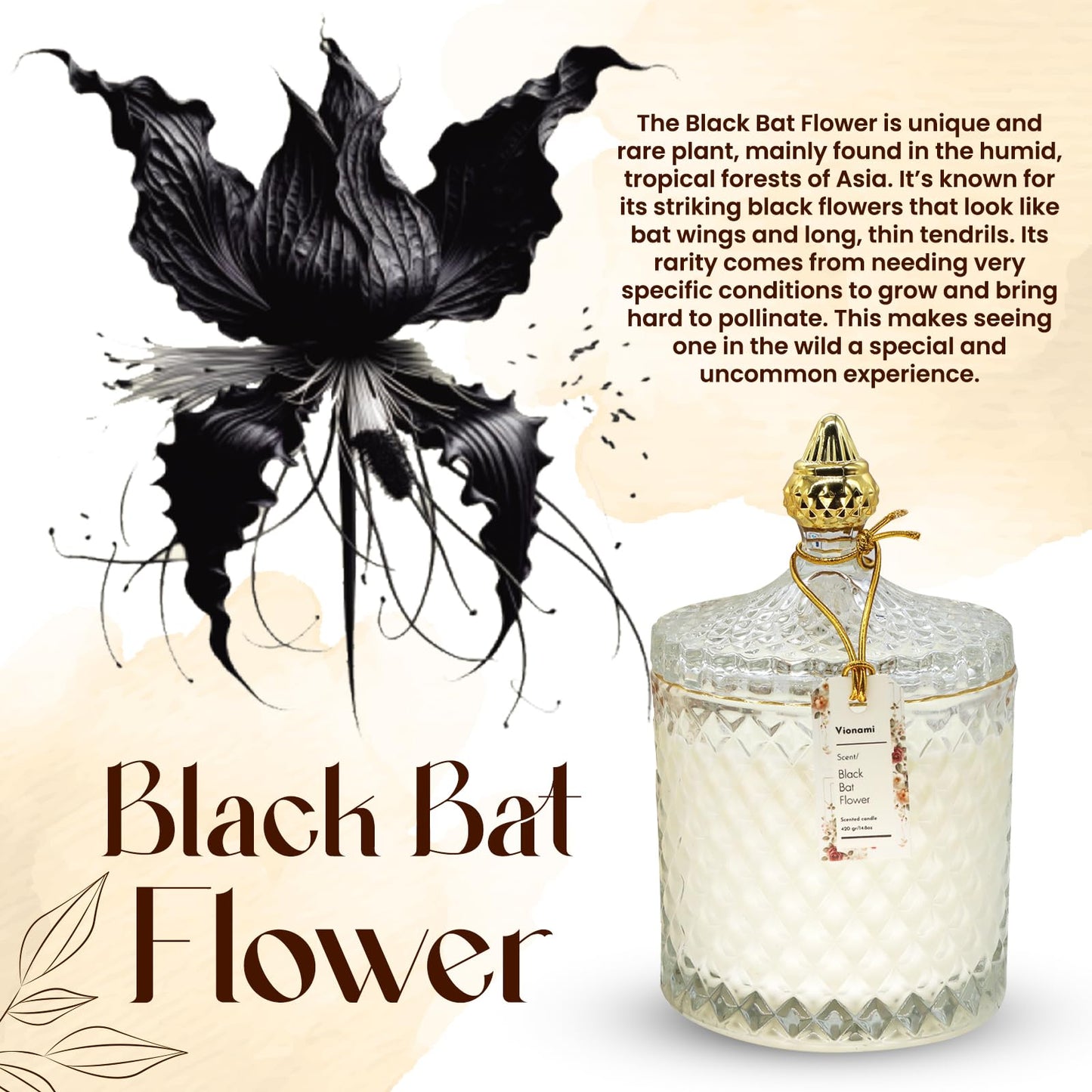 VIONAMI Luxury Scented Candle Gift, Black Bat Rare Flower Fragrance Soy Candle in Glass Jar, 14.8oz, 80Hr Burn, Scented Candles for Women, Birthday Gift for Her, Luxury Candles for Women