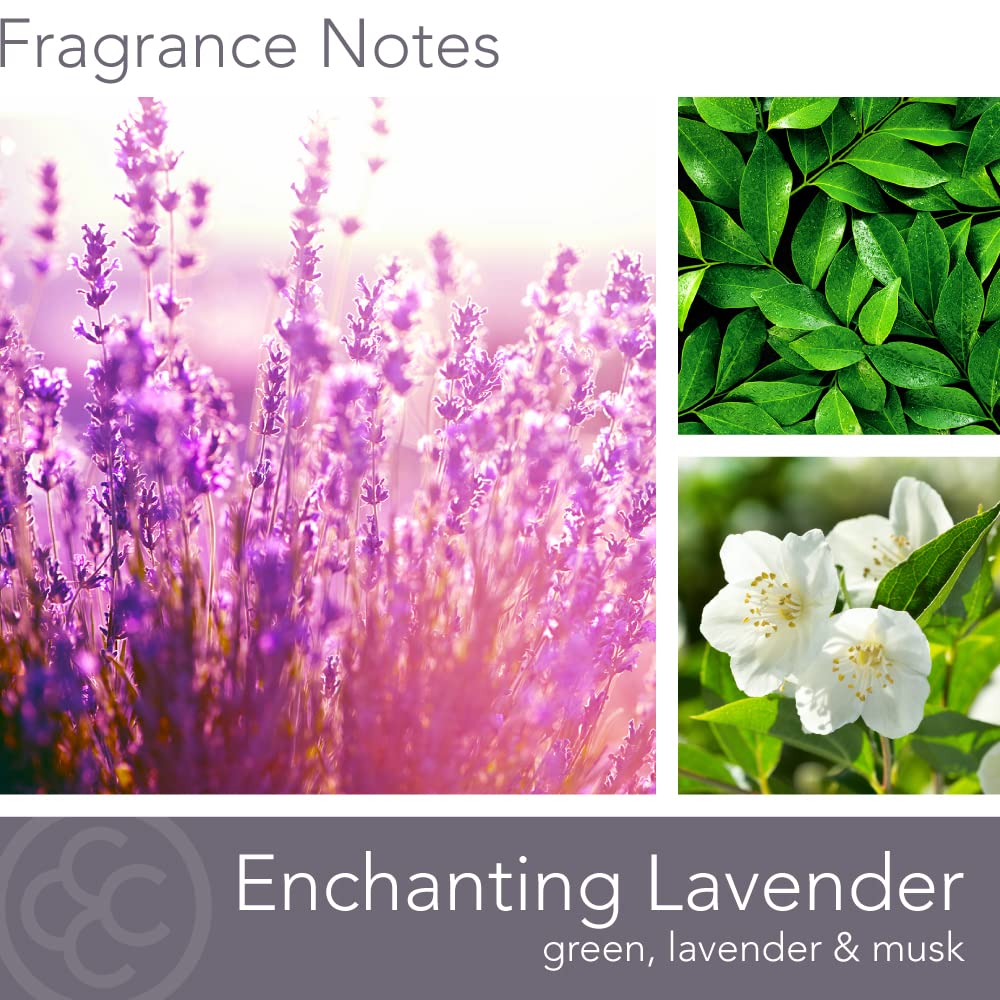 Carolina Enchanting Lavender Scented Candle, 16 oz Wellness Relaxing Aromatherapy Candle, 2 Wick White Jar Soy Blend Wax, Candles for Home, 60H Burn - Made in The USA