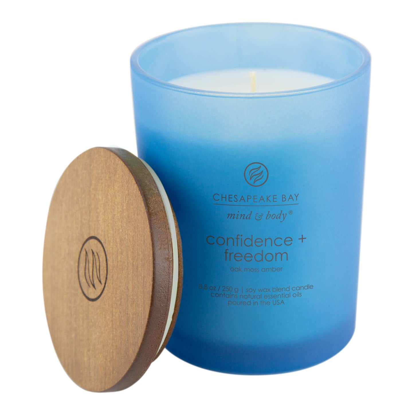 Chesapeake Bay Candle Scented Candle Confidence + Freedom (Oak Moss Amber) Medium Home Décor