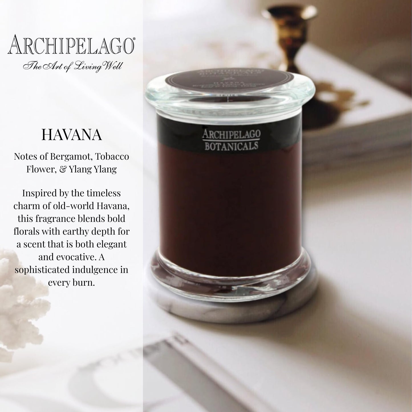 Archipelago Botanicals Havana Glass Jar Candle, Bergamot, Tobacco Flower and Ylang Ylang Scent, Lead-Free Candle Wicks, Burns Approx. 60 Hours (8.6 oz) (Pack of 2)