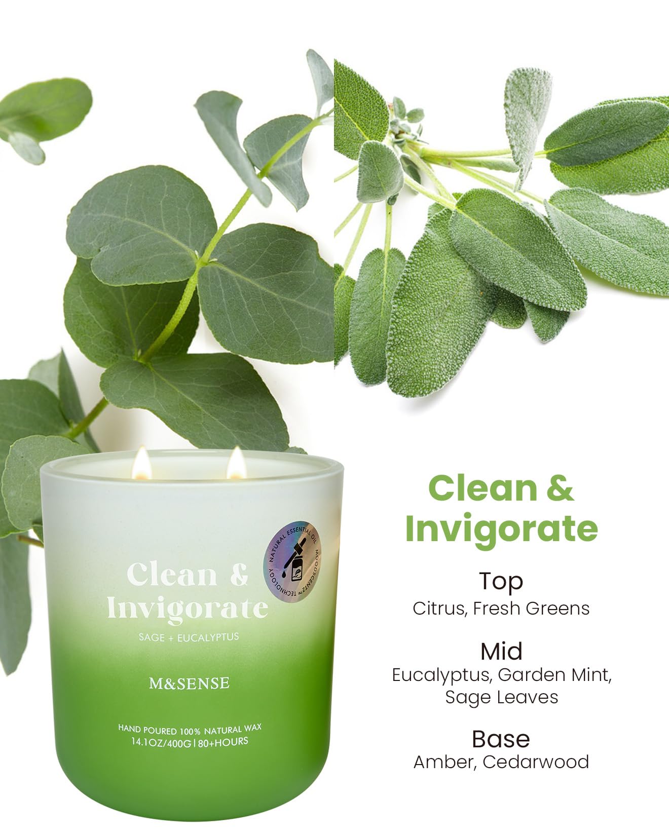 M&SENSE Sage Eucalyptus Scented Candle for Home, 14.1oz 80-Hour Non Toxic Long-Lasting Natural Soy Wax Fragrance, 2 Wick Summer Scented Aromatherapy Candle for Relaxing Stress Relief Meditation Yoga