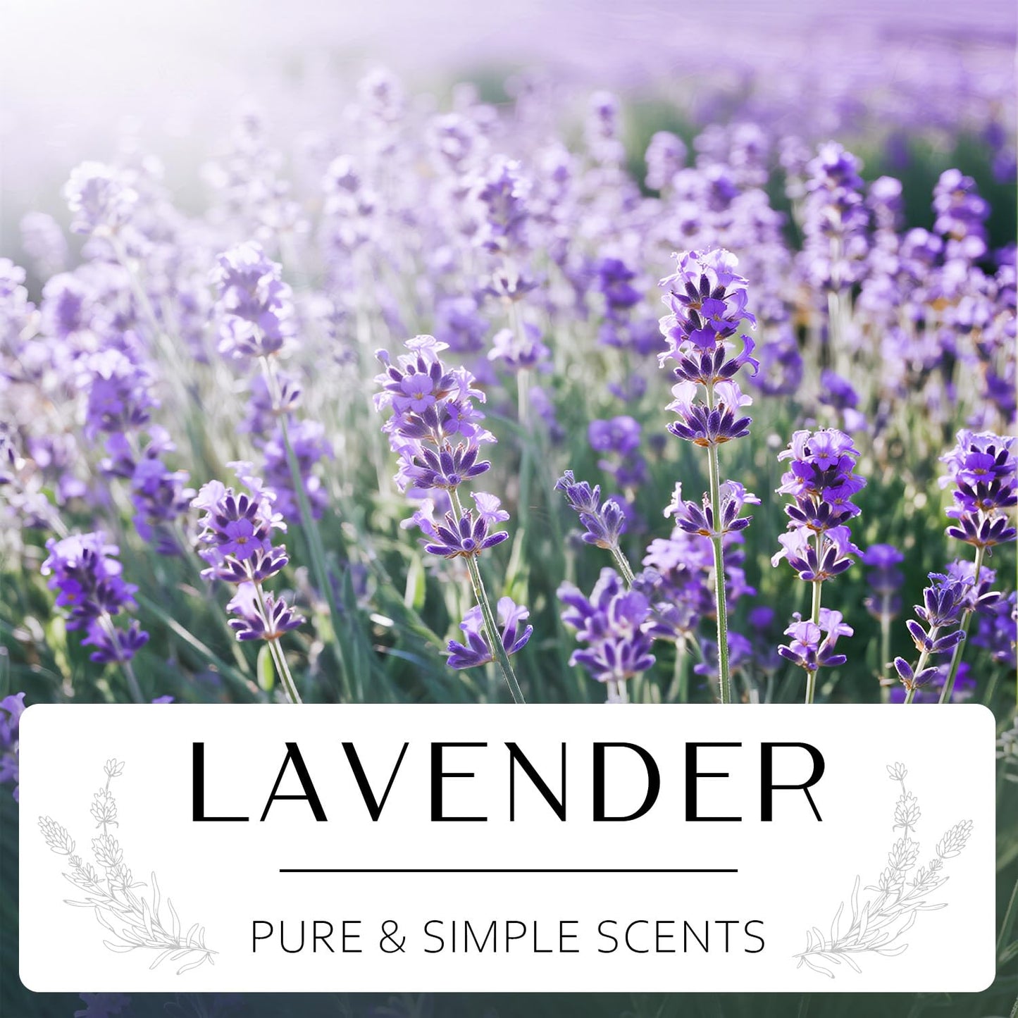 NORVENCE Lavender Candle, Scented Candles Gift Set, Stress Relief Candles for Home, Premium Soy Candle Set, Candles for Women and Men (Purple, 7 oz)