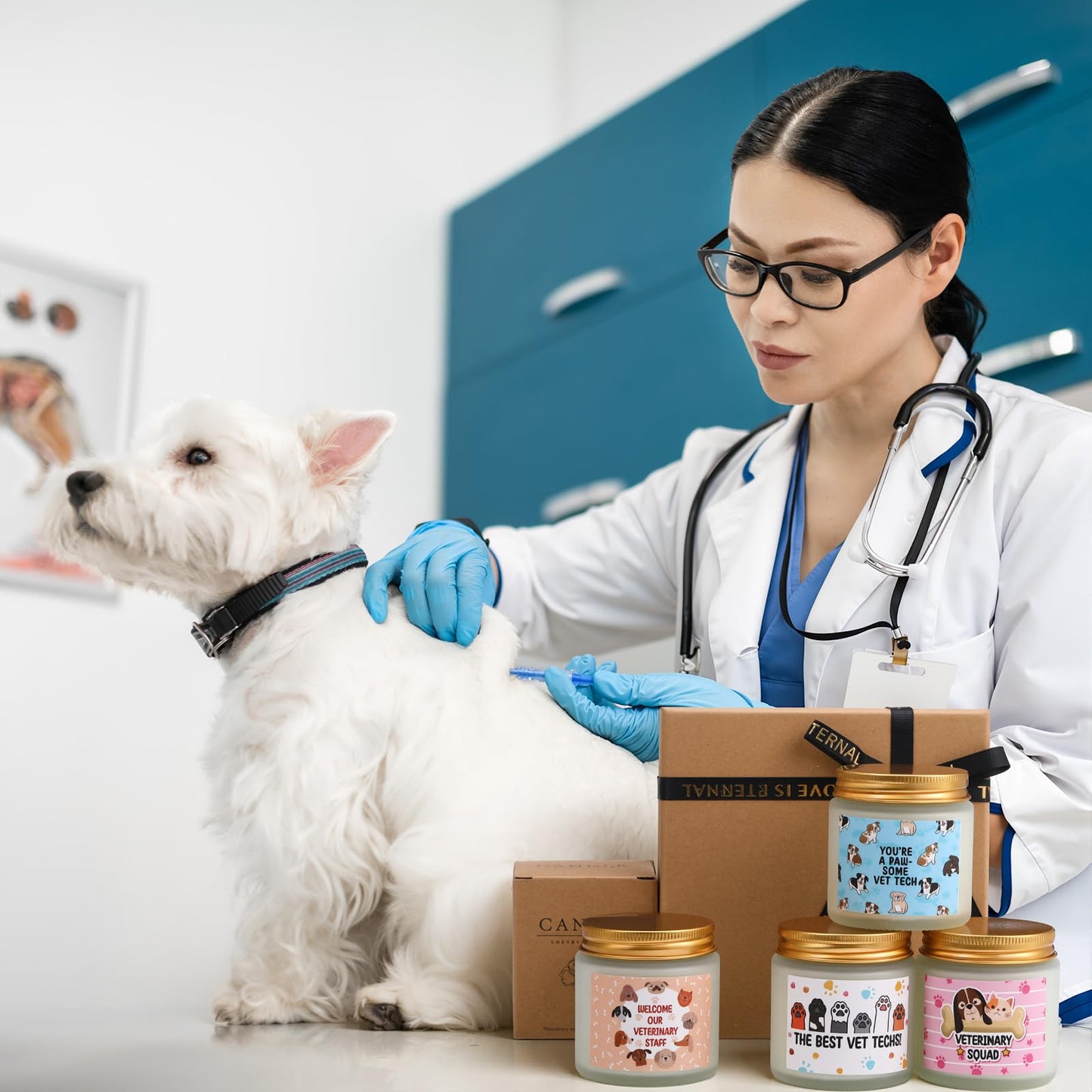 Conelist 4 Pcs Vet Receptionist Week Gifts Veterinarian Scented Candles 3.5oz Thank You Gift for World Veterinary Day, Veterinarian, Animal Doctor, Receptionist, Birthday Gifts for Women Men