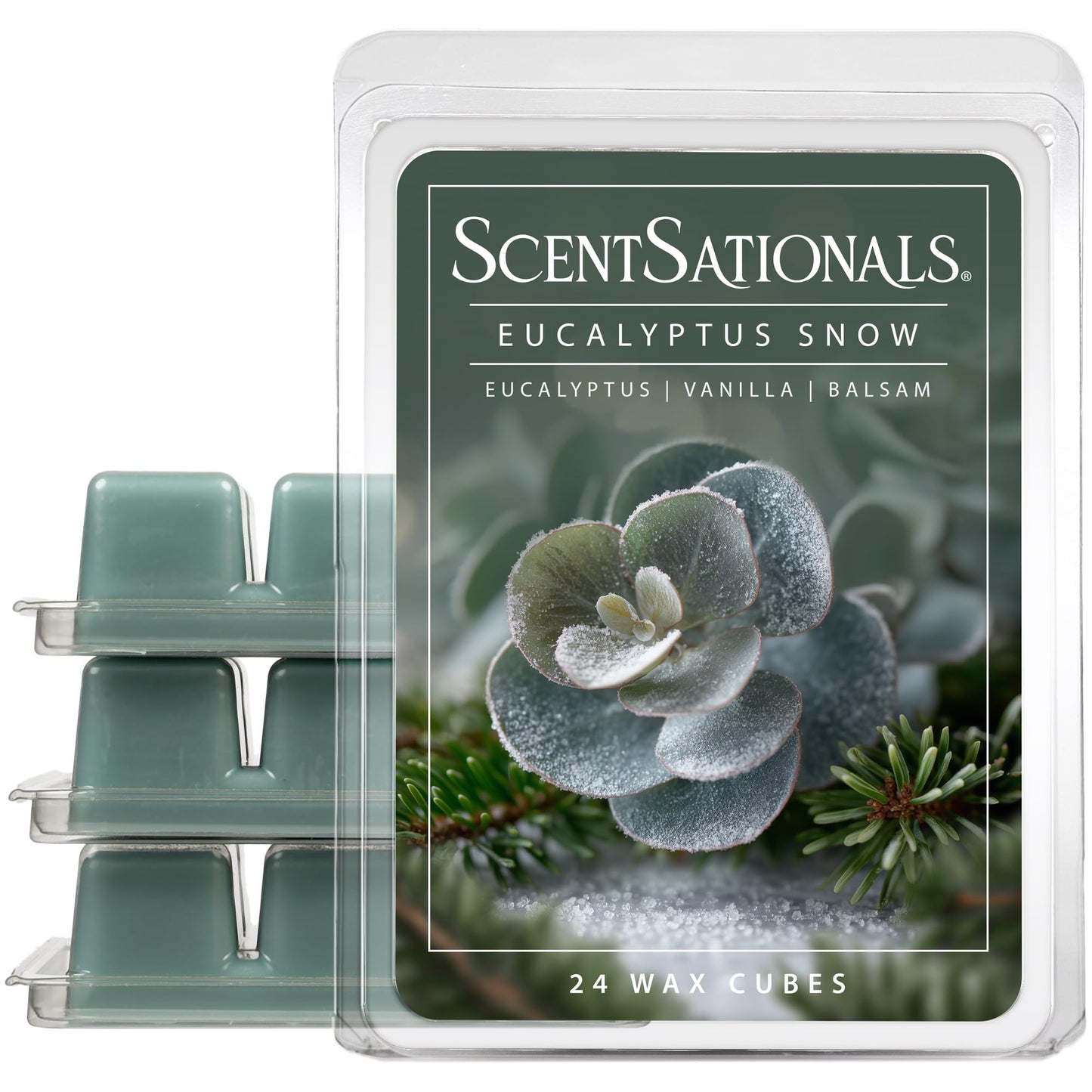Scentsationals Eucalyptus Snow Scented Wax Melts - Eucalyptus, Vanilla, & Balsam, 10oz (24 Cubes)