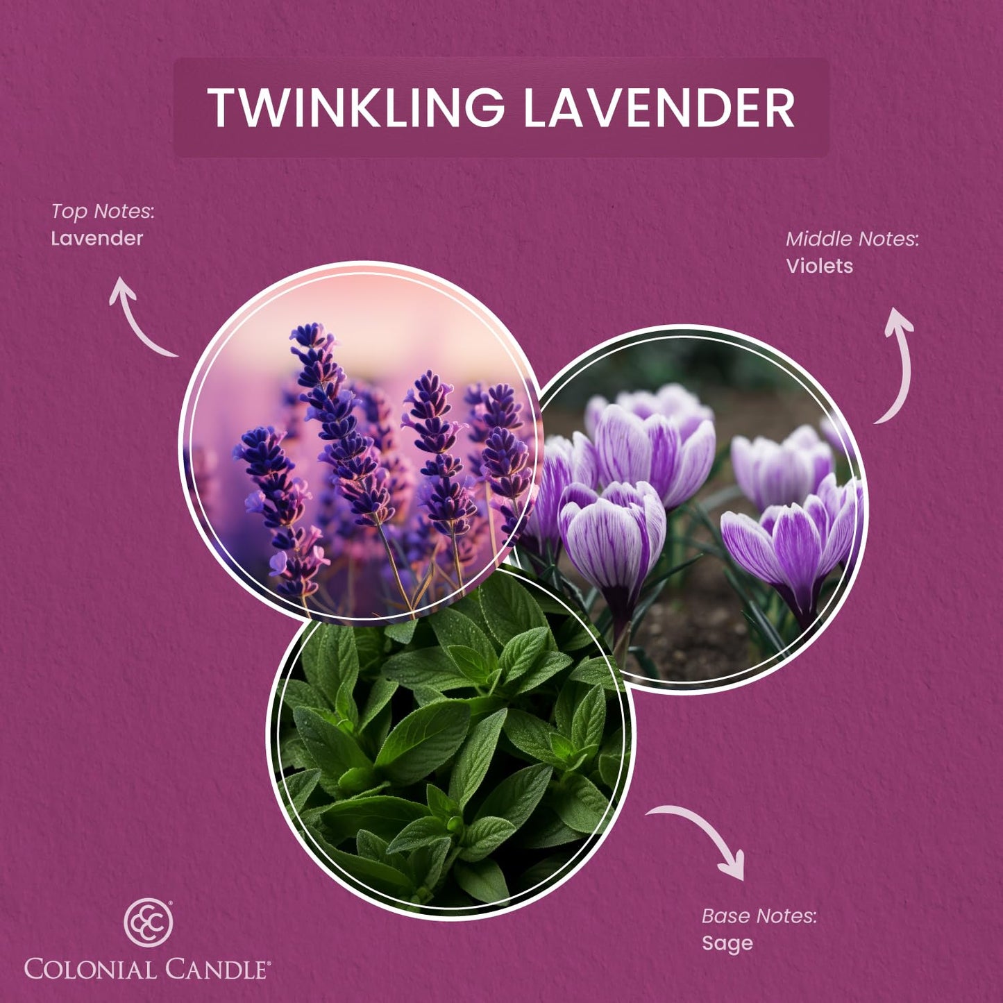 Colonial Candle Pop of Color Twinkling Lavender 14.5 Oz Scented Matt Glass Jar Candle, Three Premium Cotton Wicks